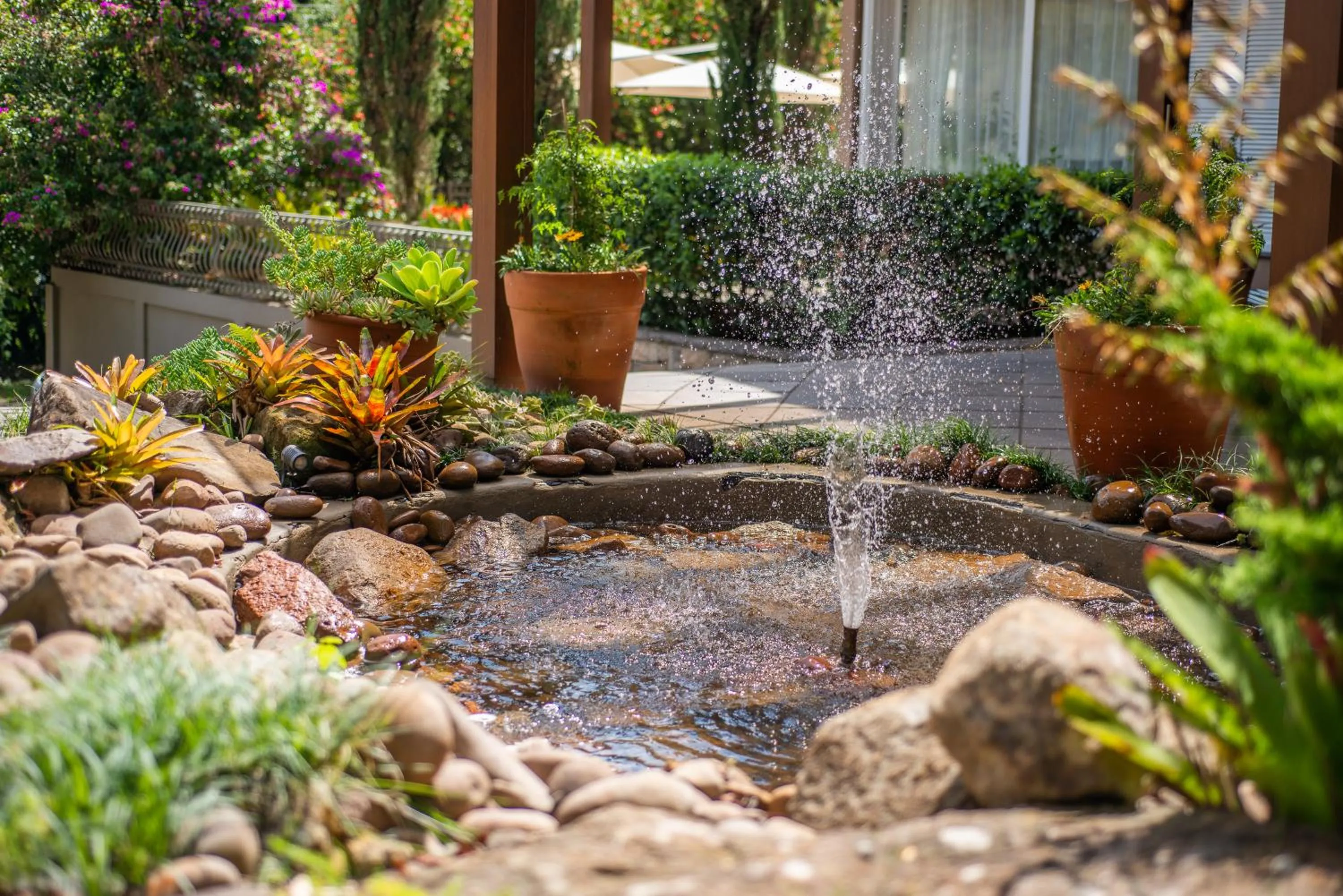Garden in Hotel Monte Felice Bosque