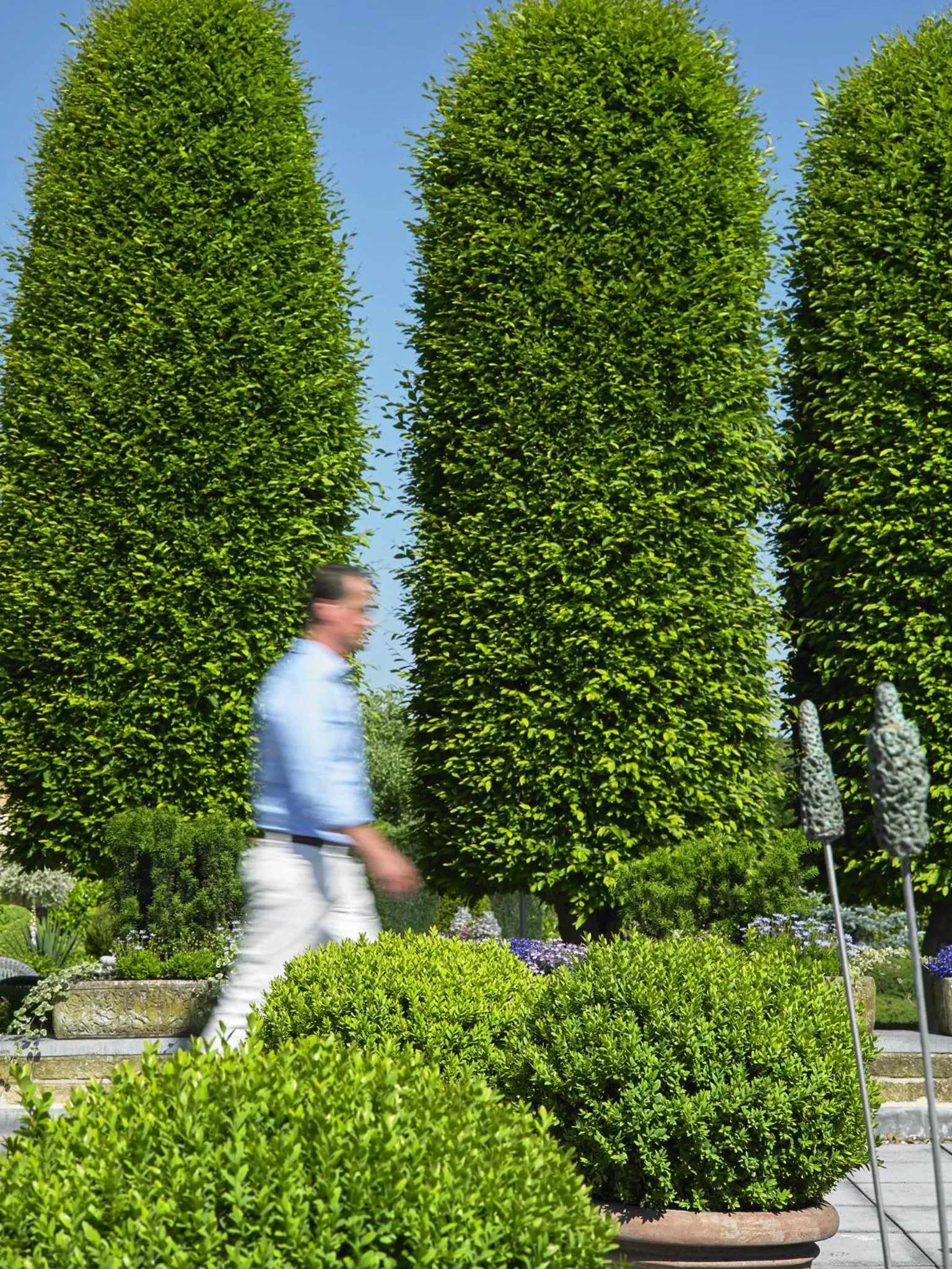 Day in Romantik Parkhotel het Gulpdal