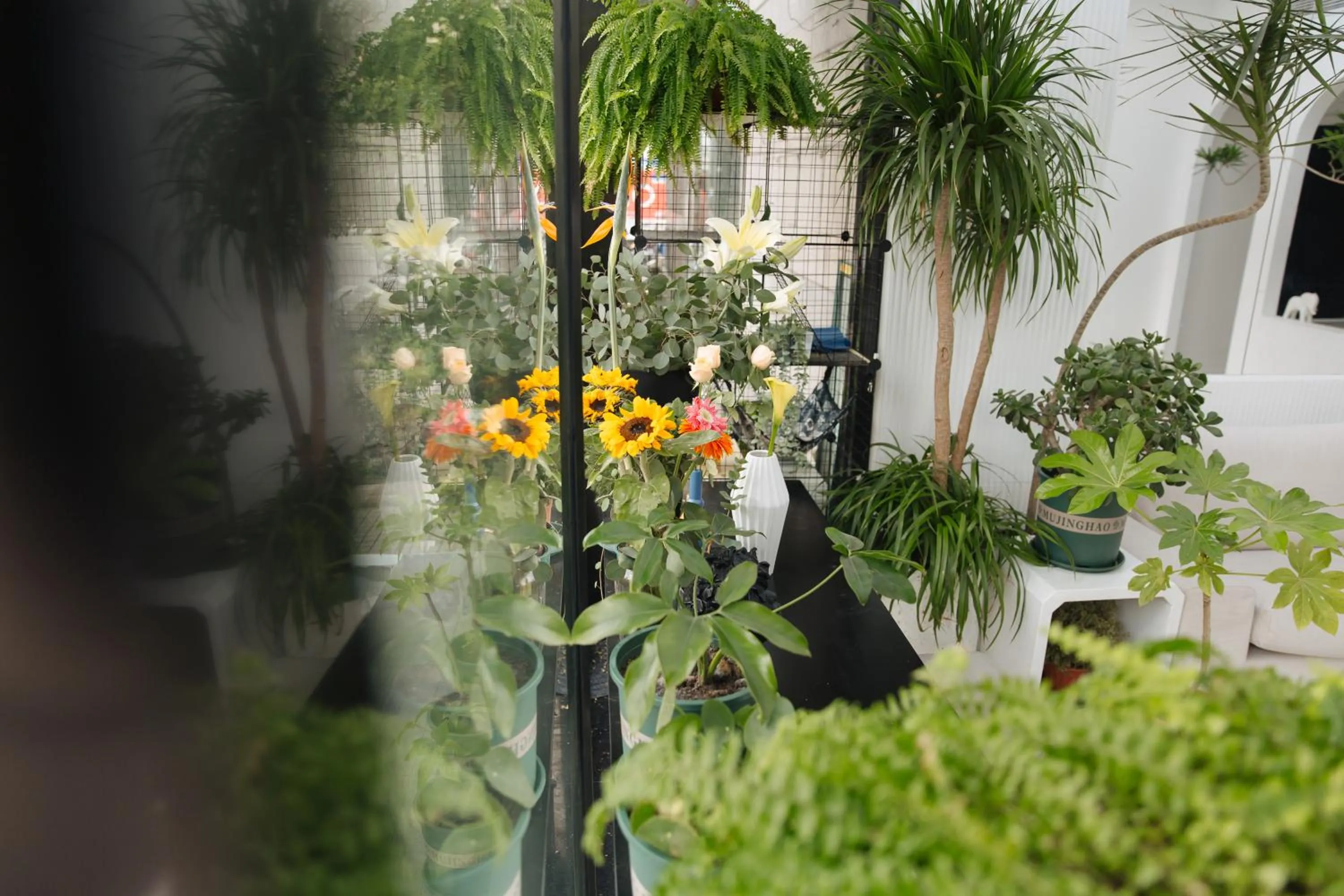 Garden view in City Park Hotel