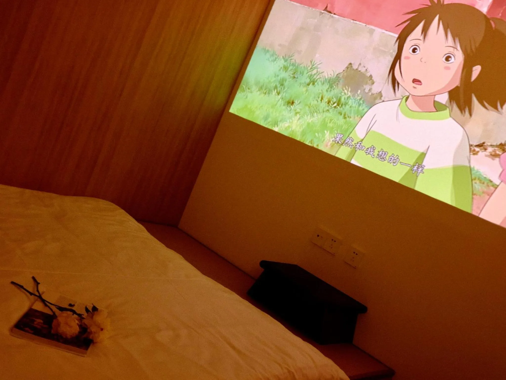 TV and multimedia in City Park Hotel