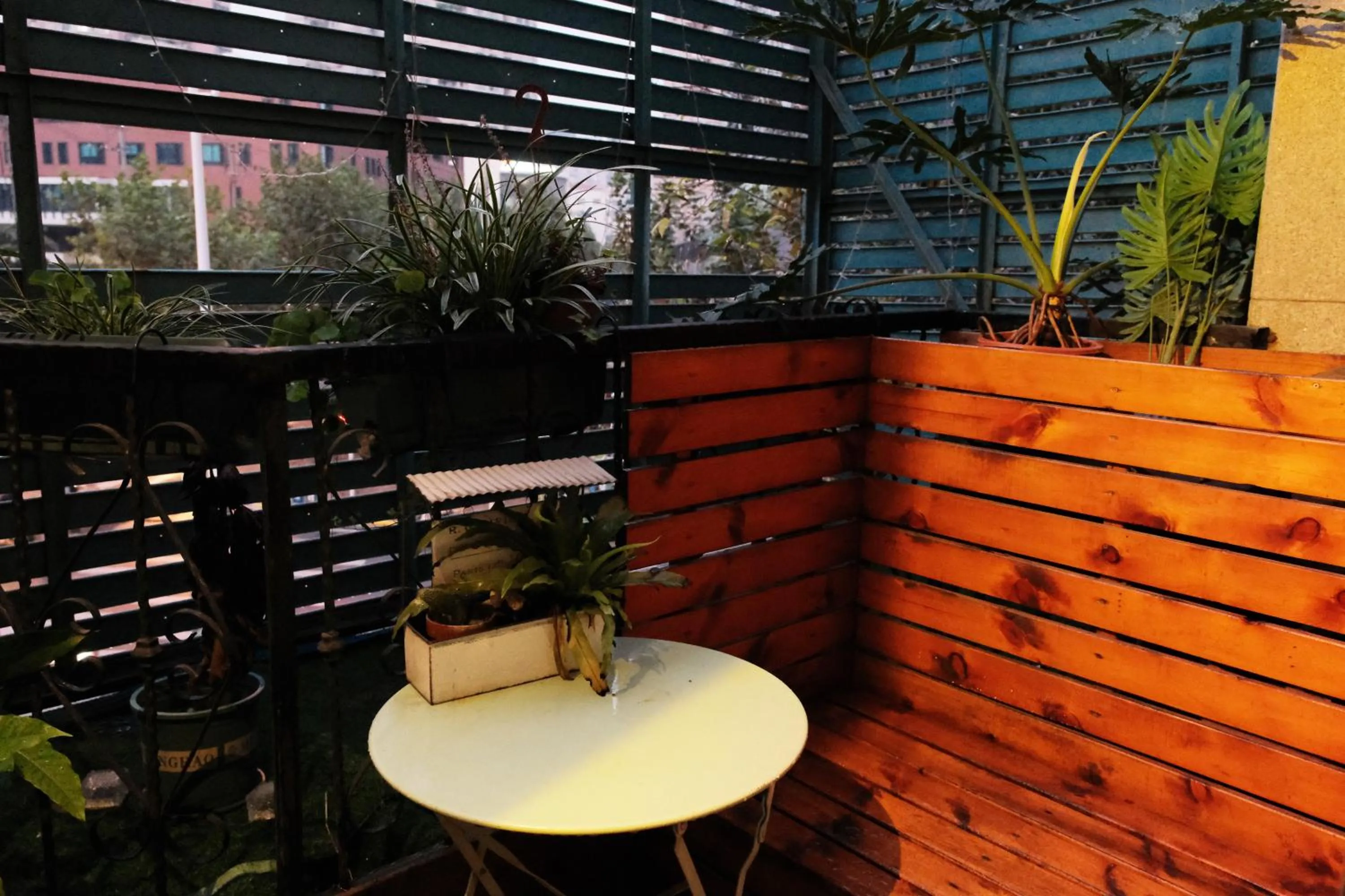 Garden in City Park Hotel