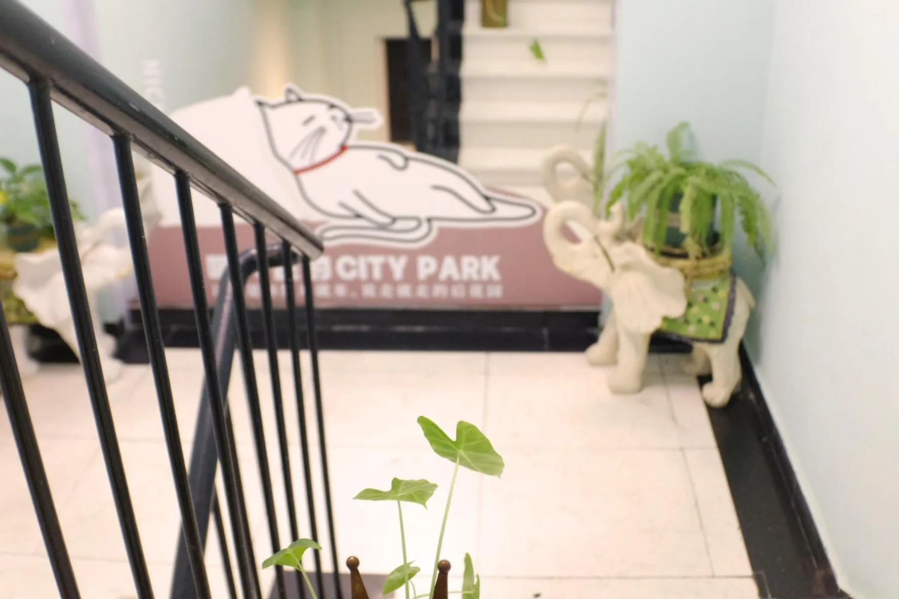 Entertainment in City Park Hotel