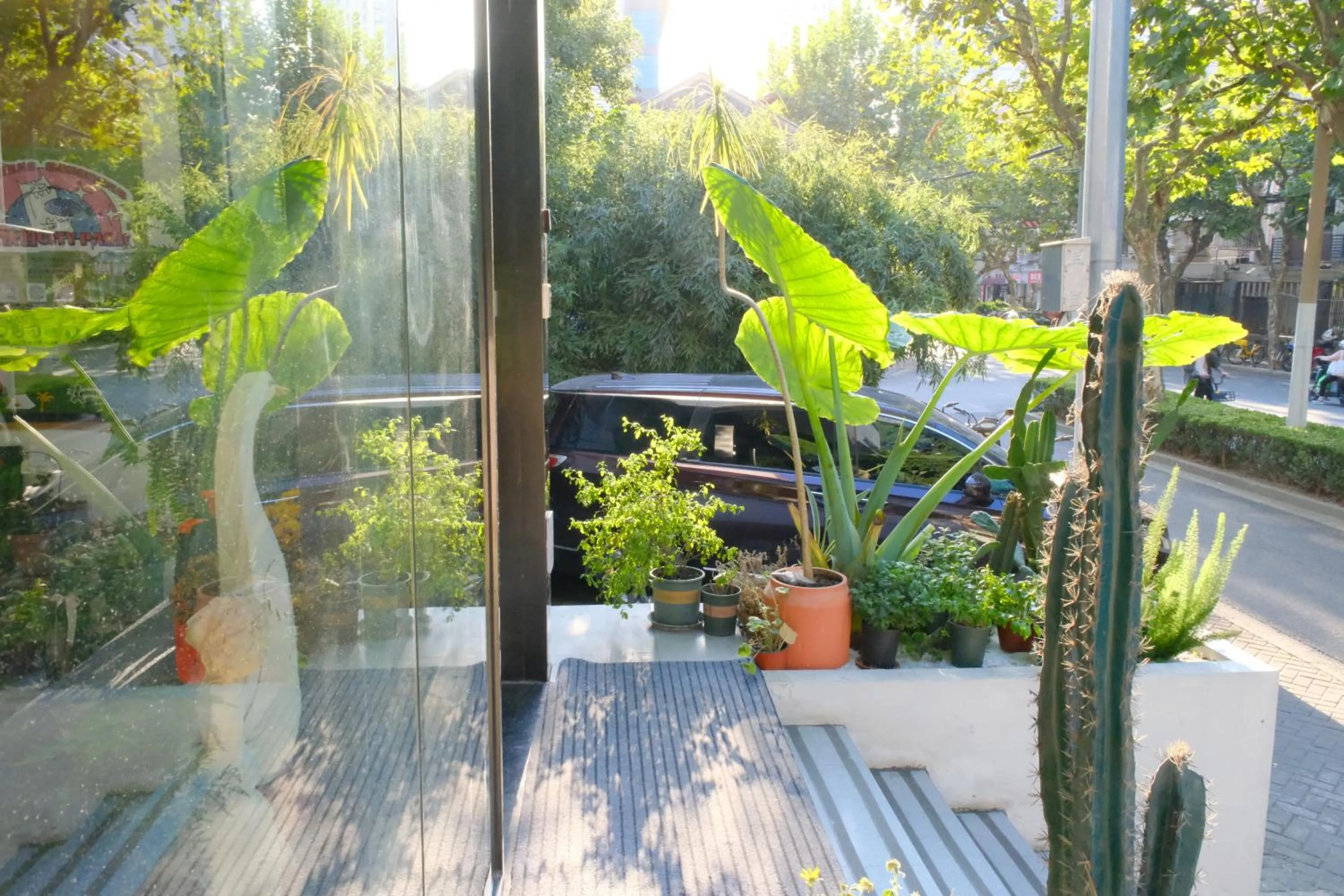 Garden view in City Park Hotel