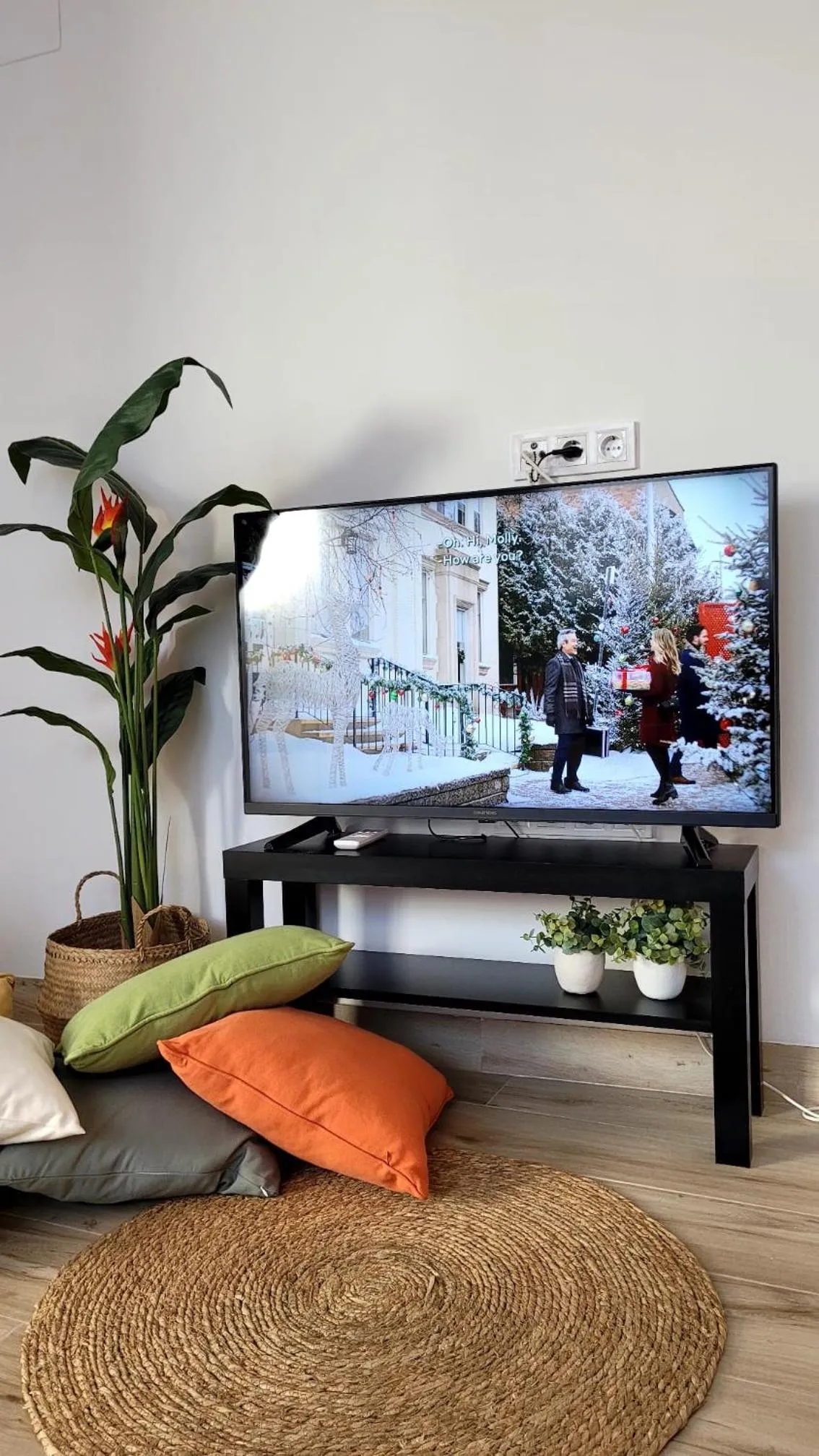 TV and multimedia in Apartament a Sant Celoni, Montseny, Barcelona