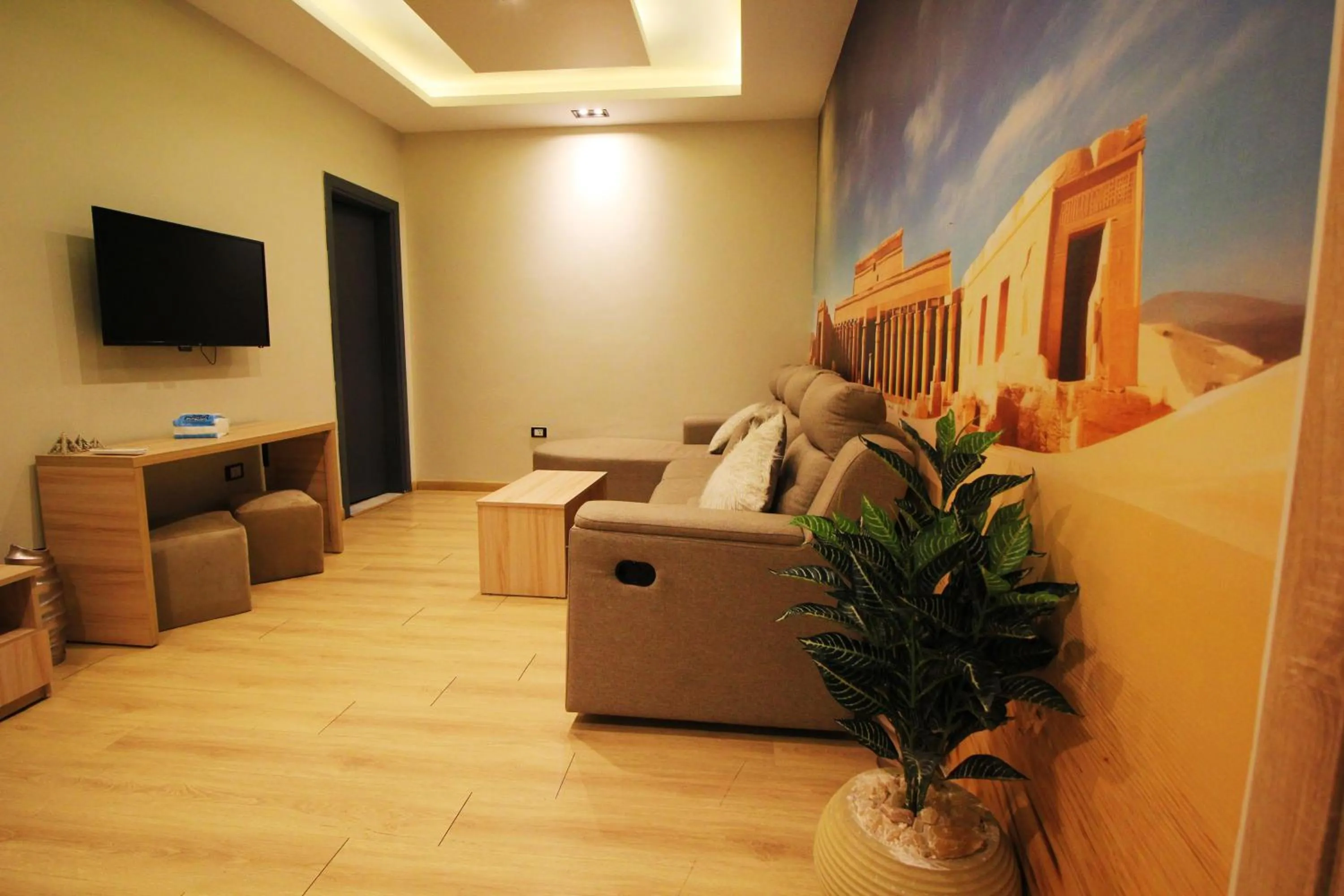 TV and multimedia in Palm Pyramids View INN