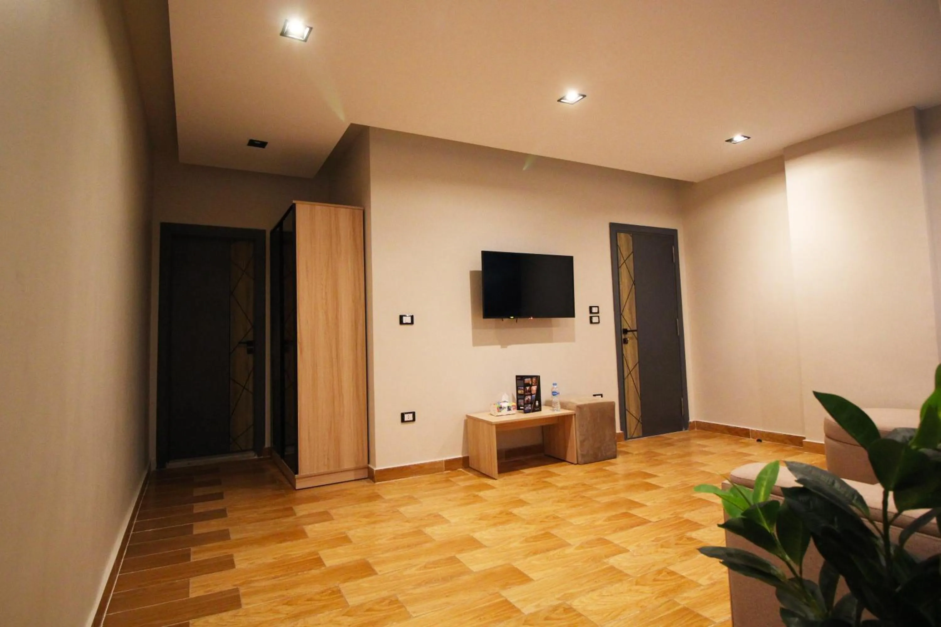 TV and multimedia in Palm Pyramids View INN