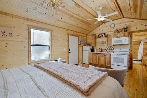 Fancy Cabin Right on Main St!