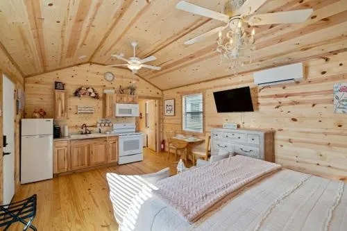 Fancy Cabin Right on Main St!