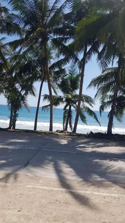 Beach in KJ Danish Inn