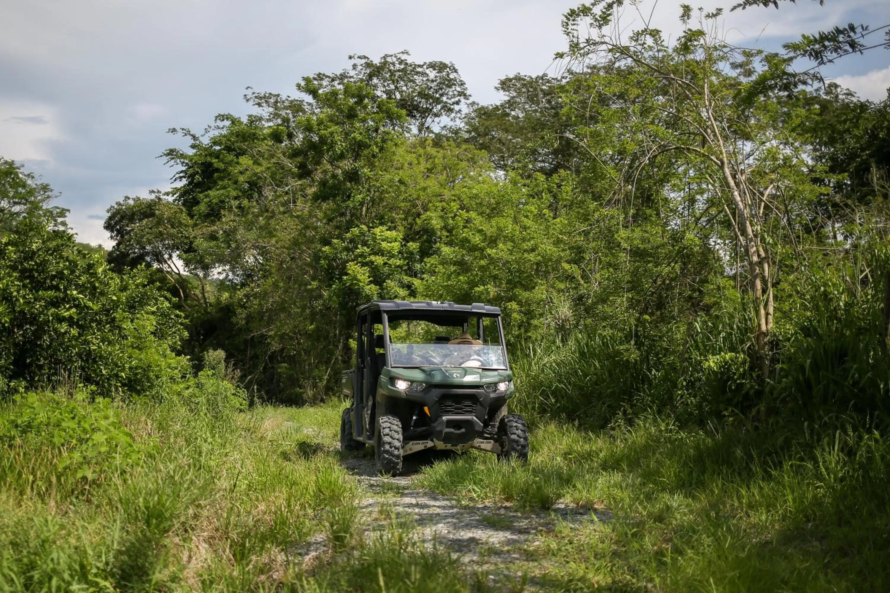 Natural landscape in Hotel Tahiti