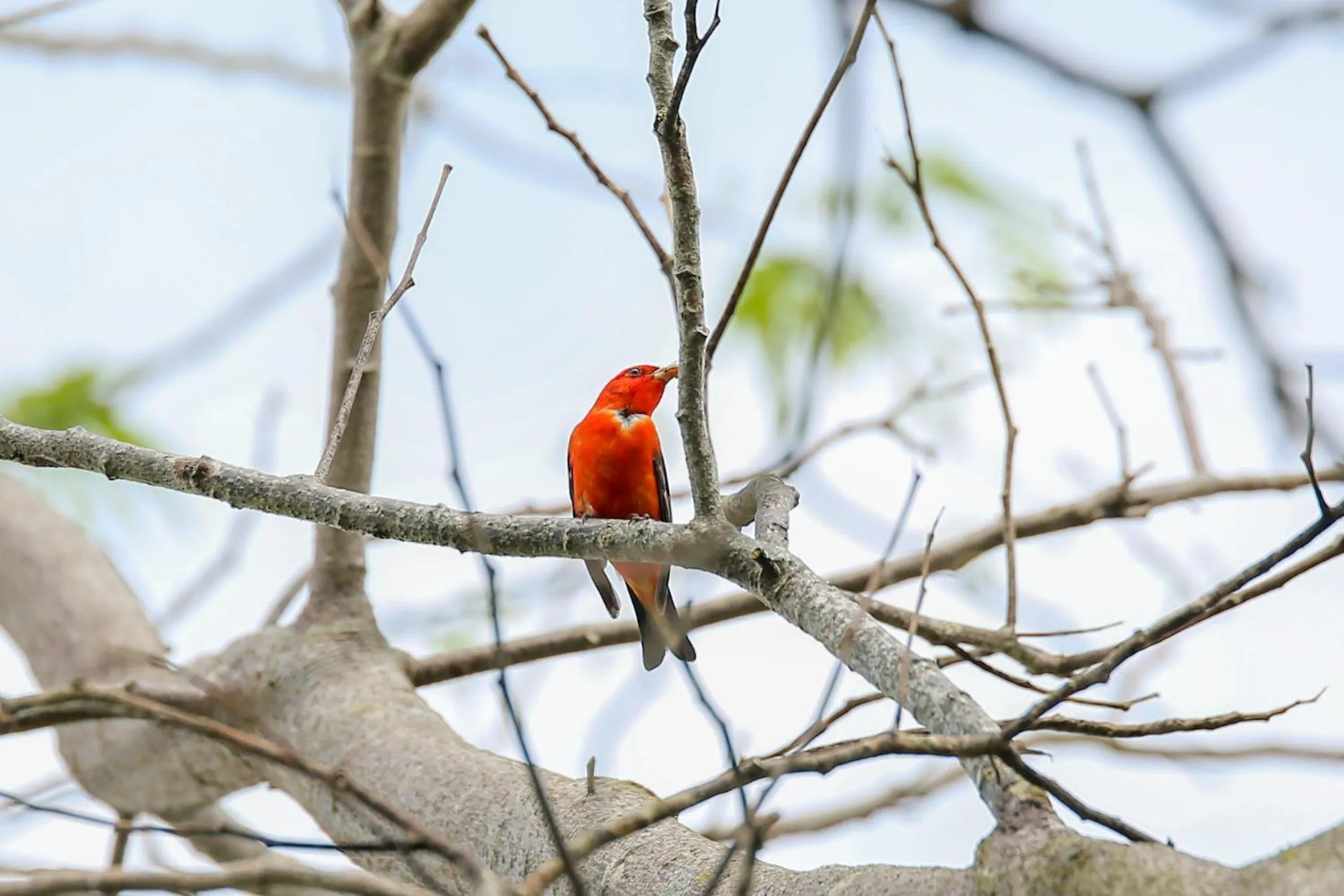 Natural landscape in Hotel Tahiti