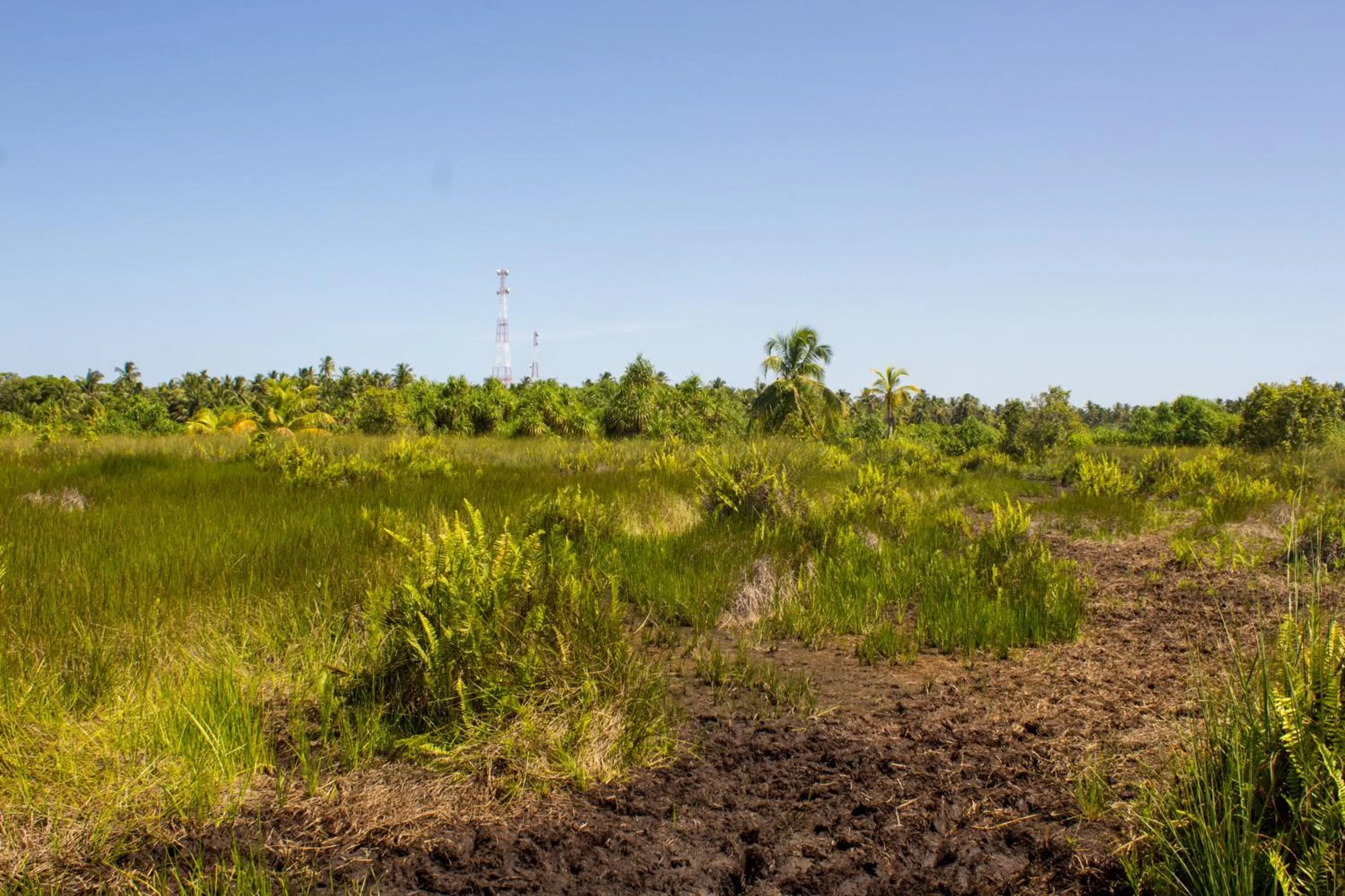 Hiking in Silver County Hotel, Fuvahmulah - Maldives