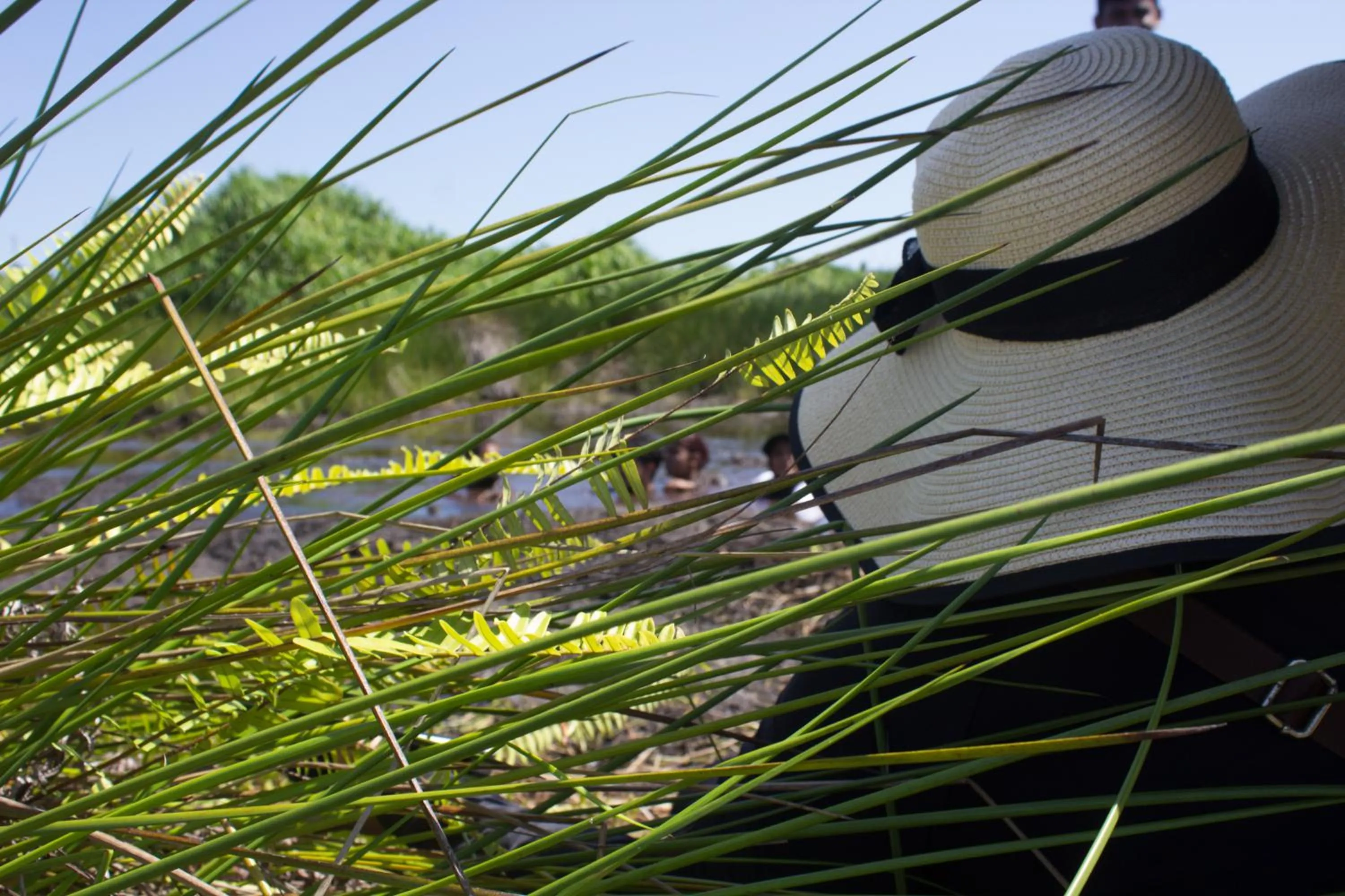 Hiking in Silver County Hotel, Fuvahmulah - Maldives