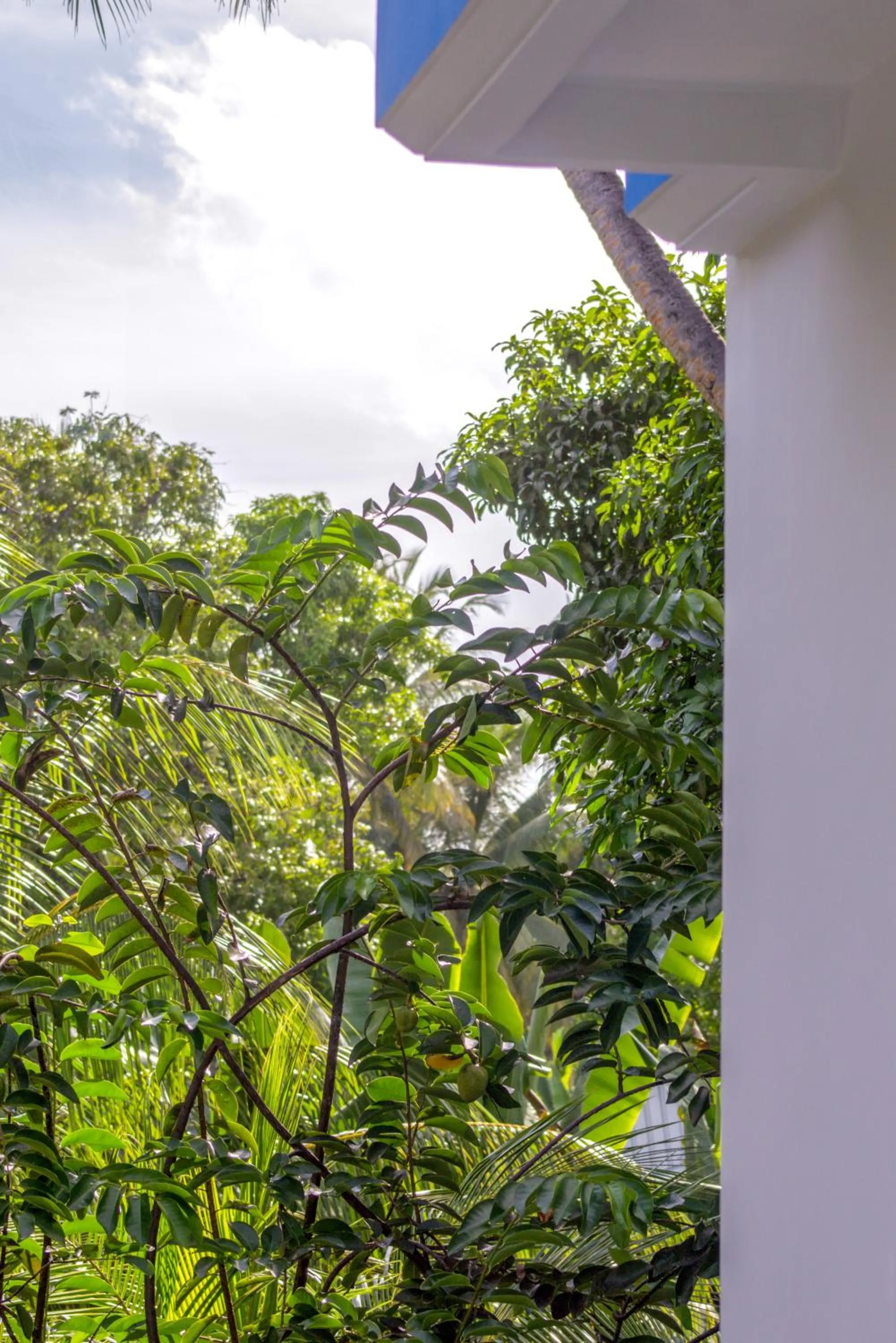 Property building in Silver County Hotel, Fuvahmulah - Maldives