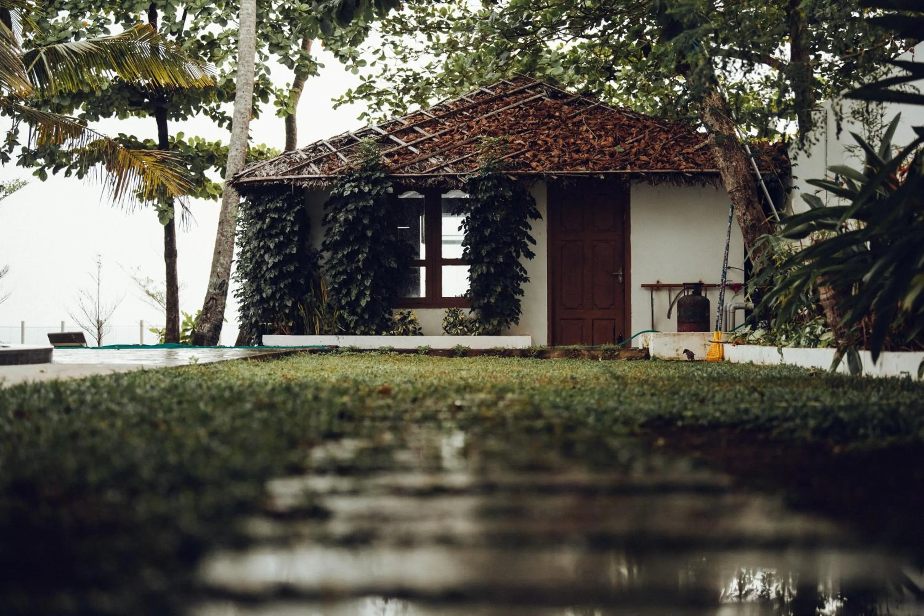 Garden in Villa Sasha By Elixir Cliff