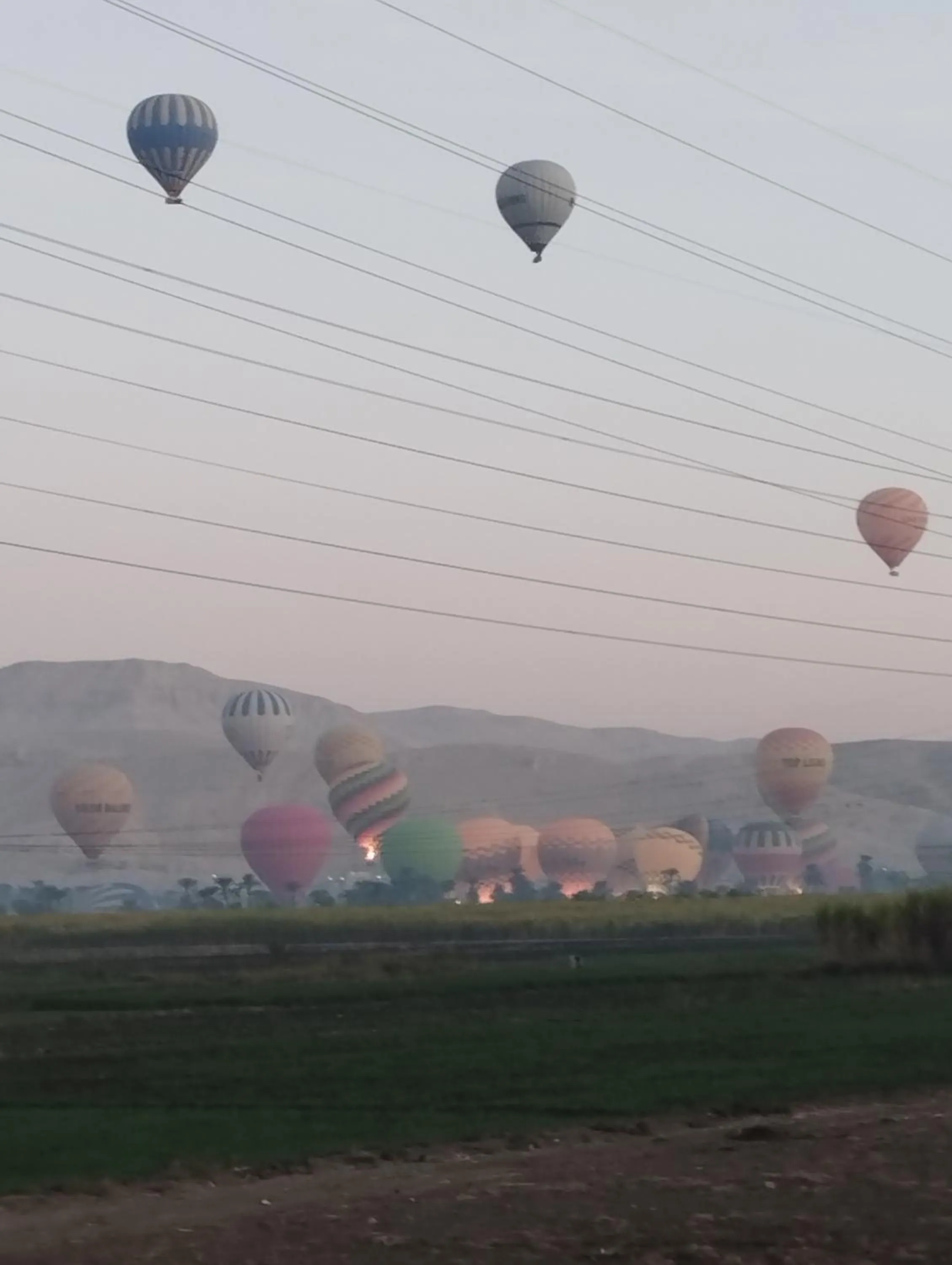 group of guests in Bob Marley Peace hotel luxor