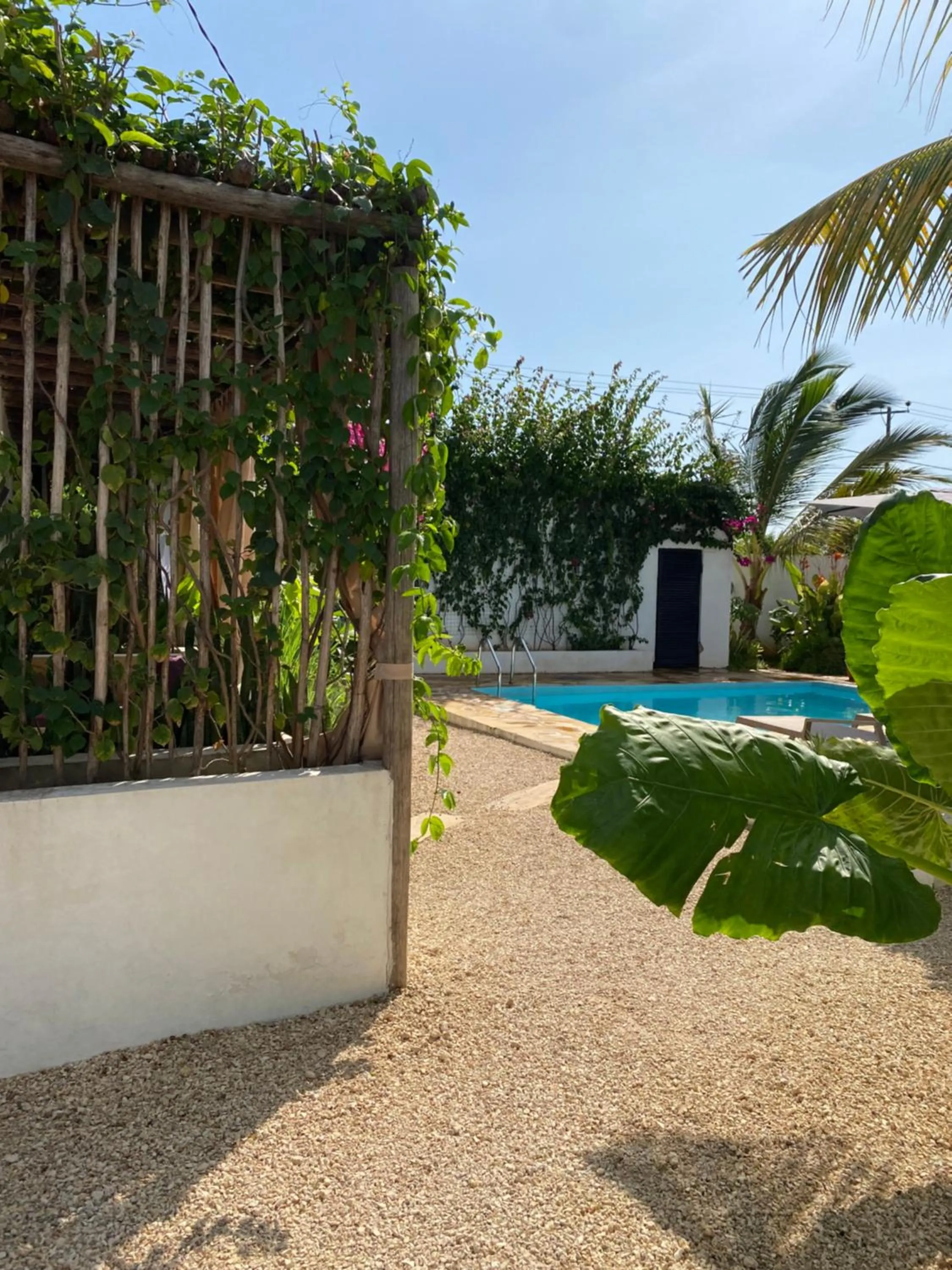 Day in Cactus lodge Zanzibar