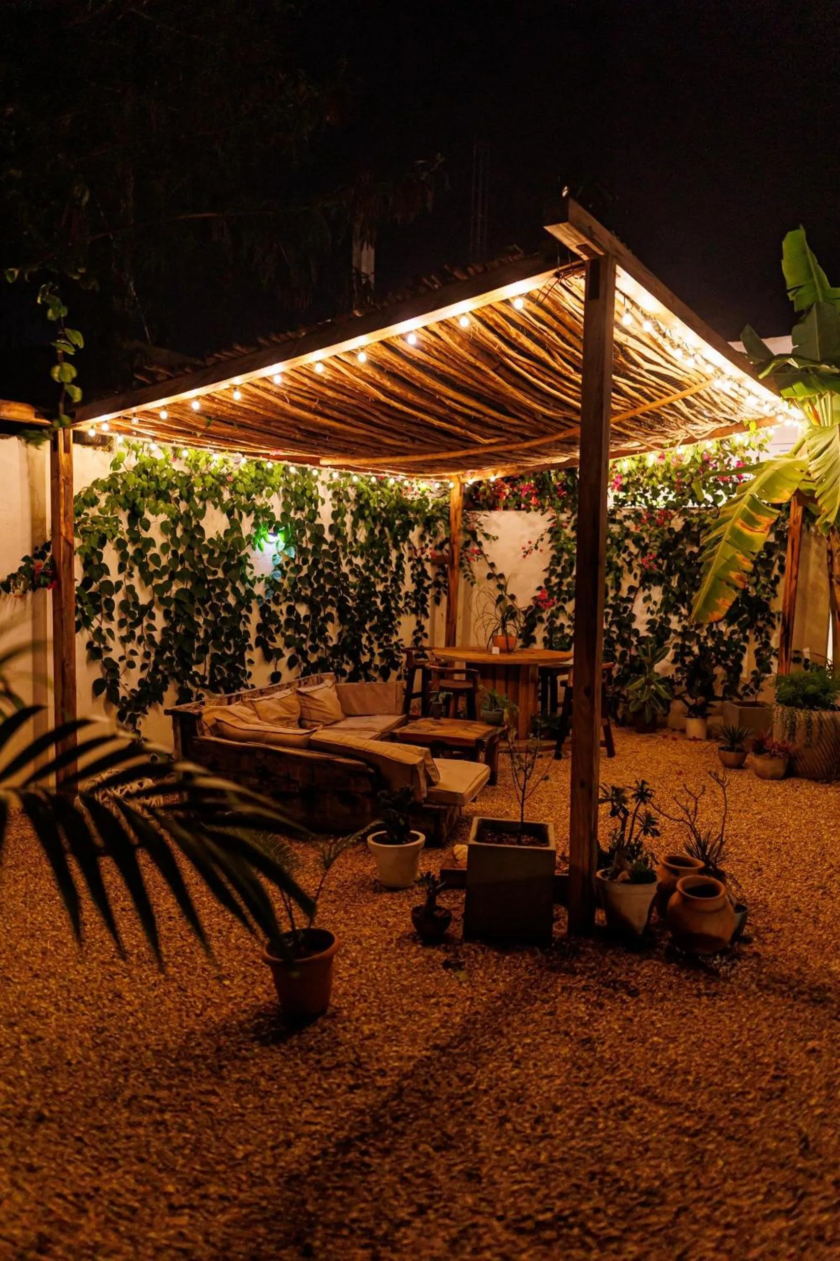 Garden view in Cactus lodge Zanzibar