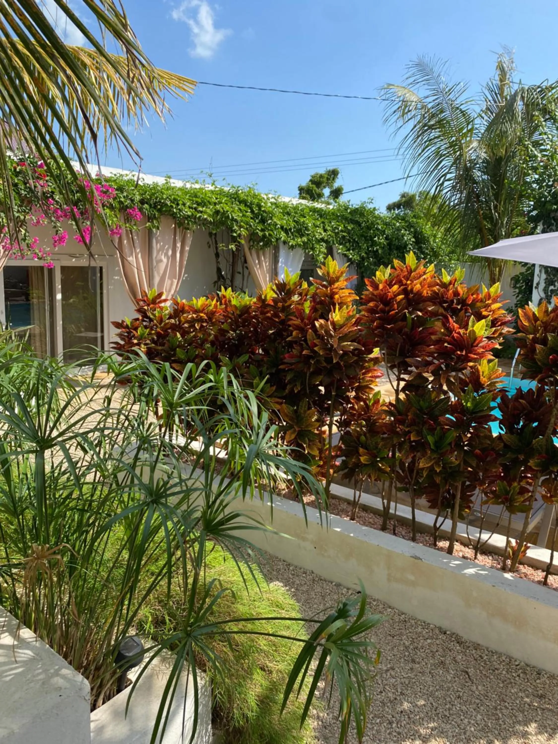 Day in Cactus lodge Zanzibar