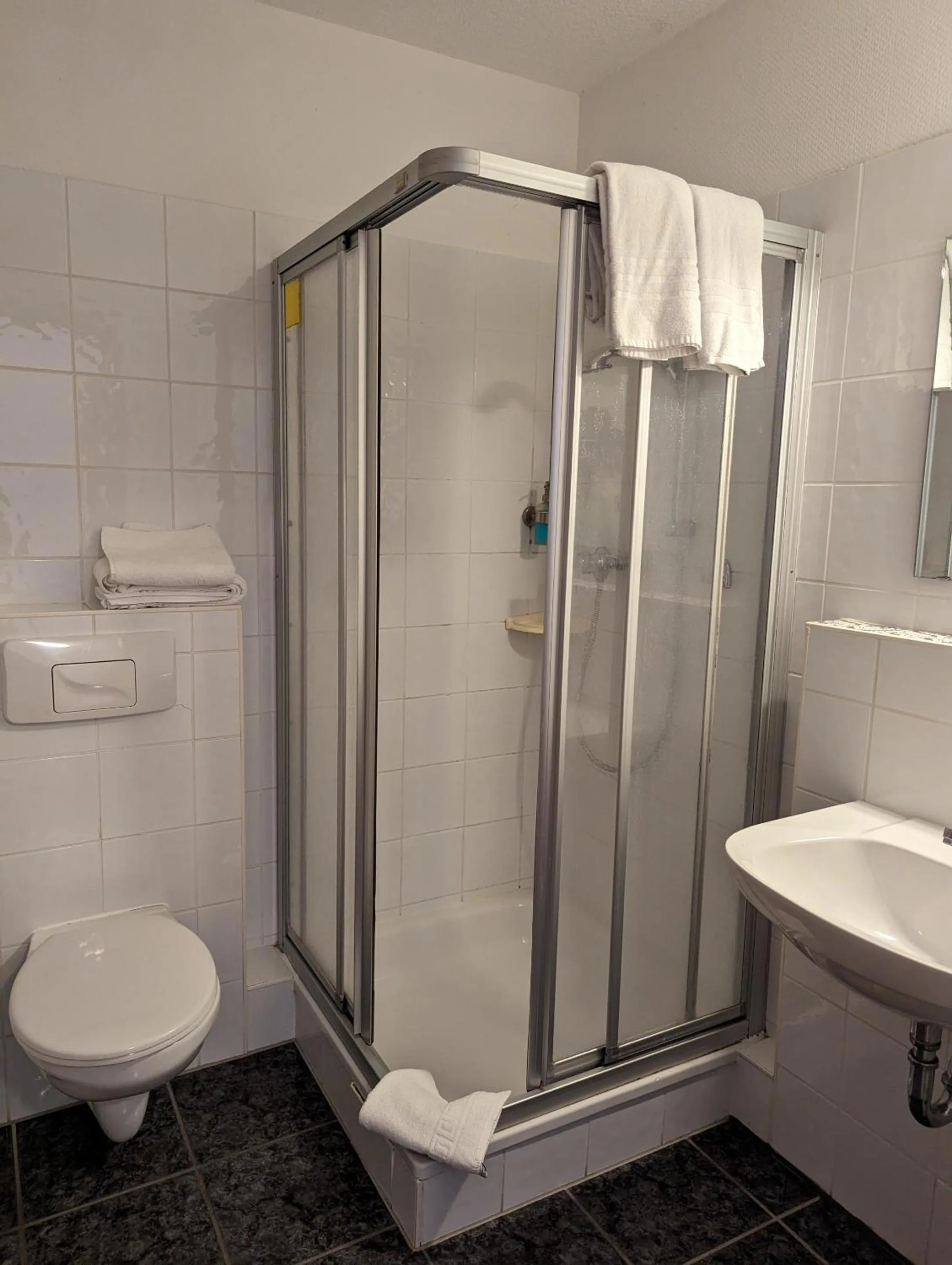 Bathroom in Sonnenhof