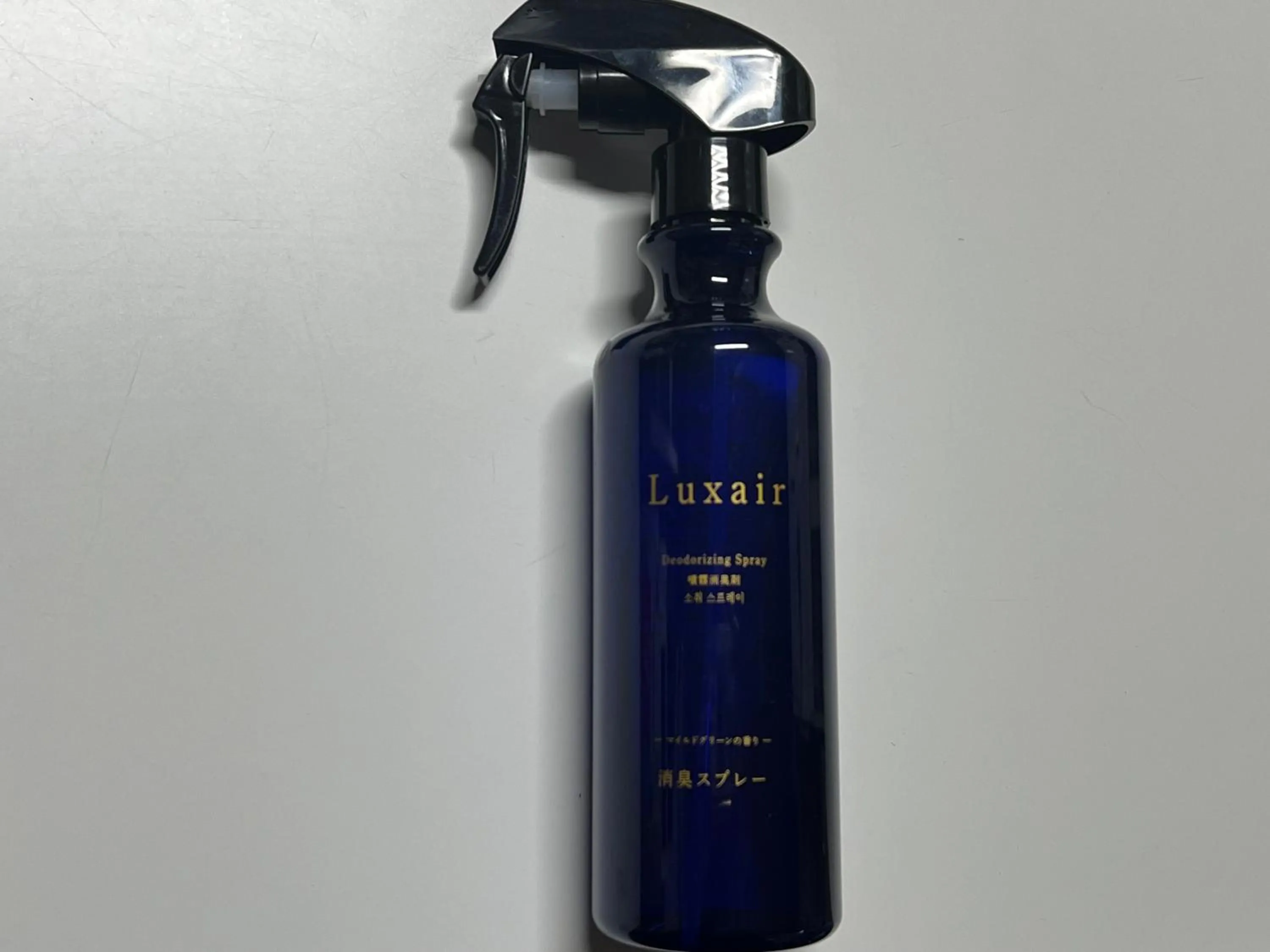 Activities in First Cabin Hakata