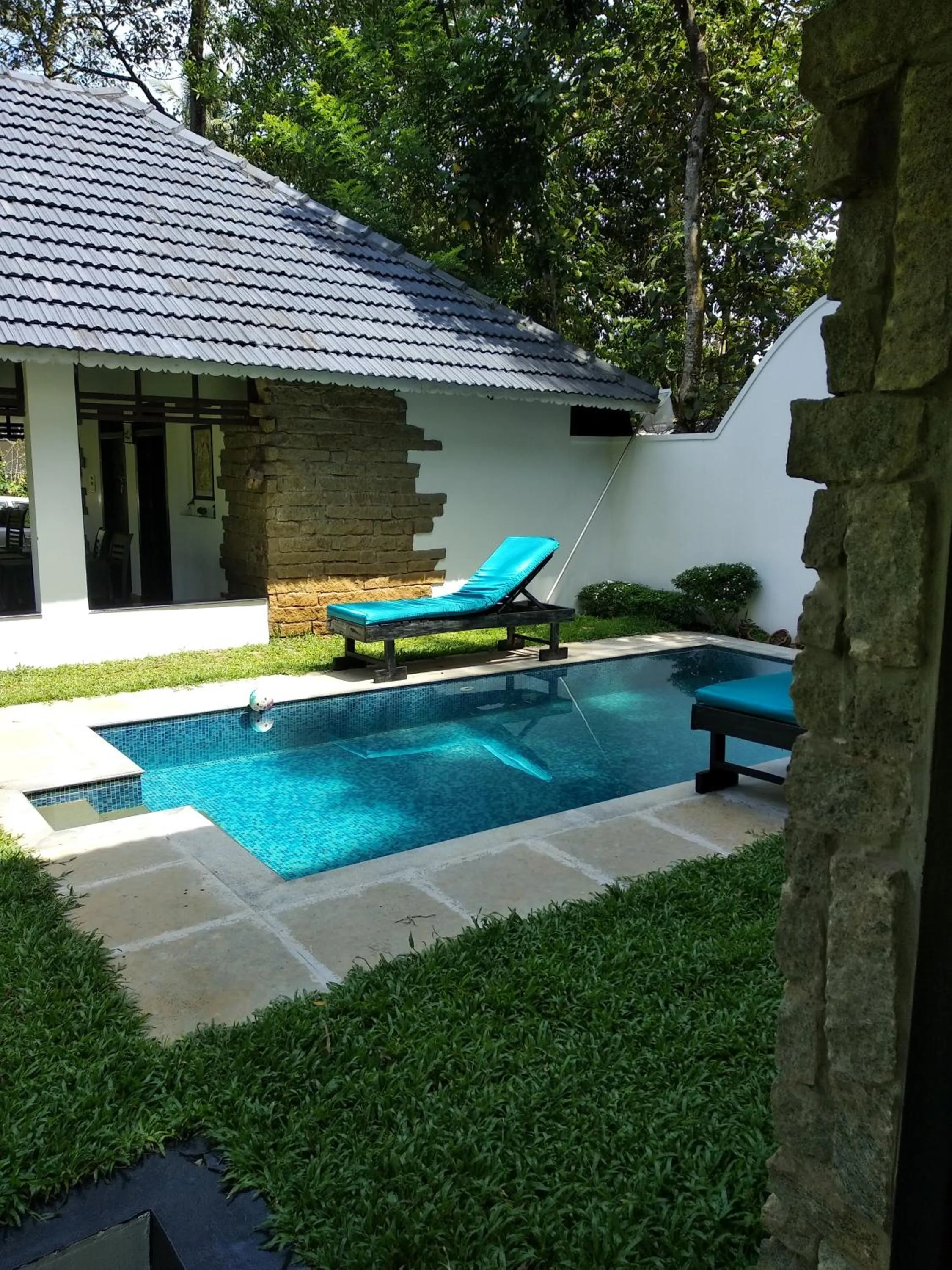 Swimming pool in Mayas Beach House