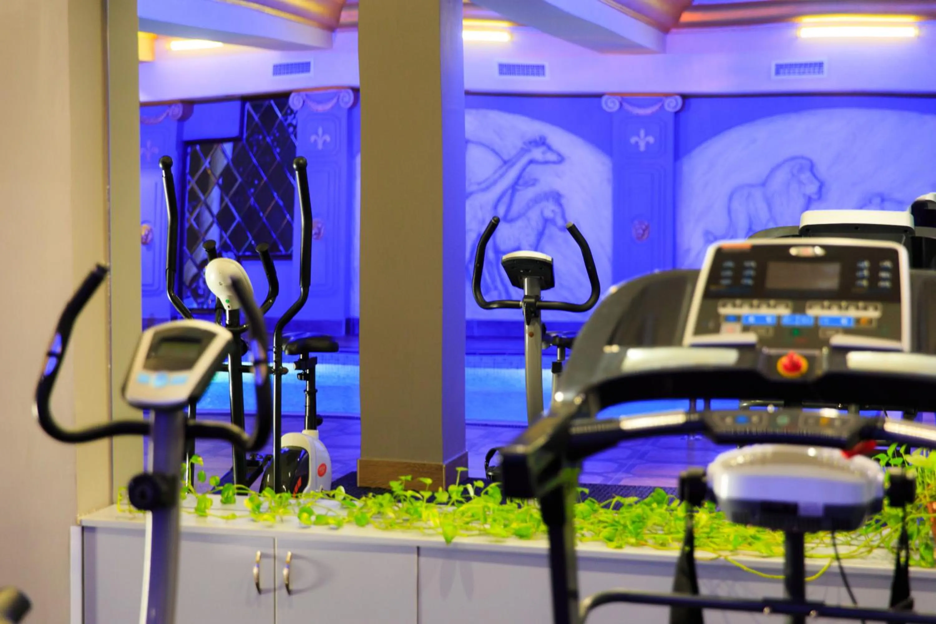 Fitness centre/facilities in Cron Palace kosher Tbilisi Hotel