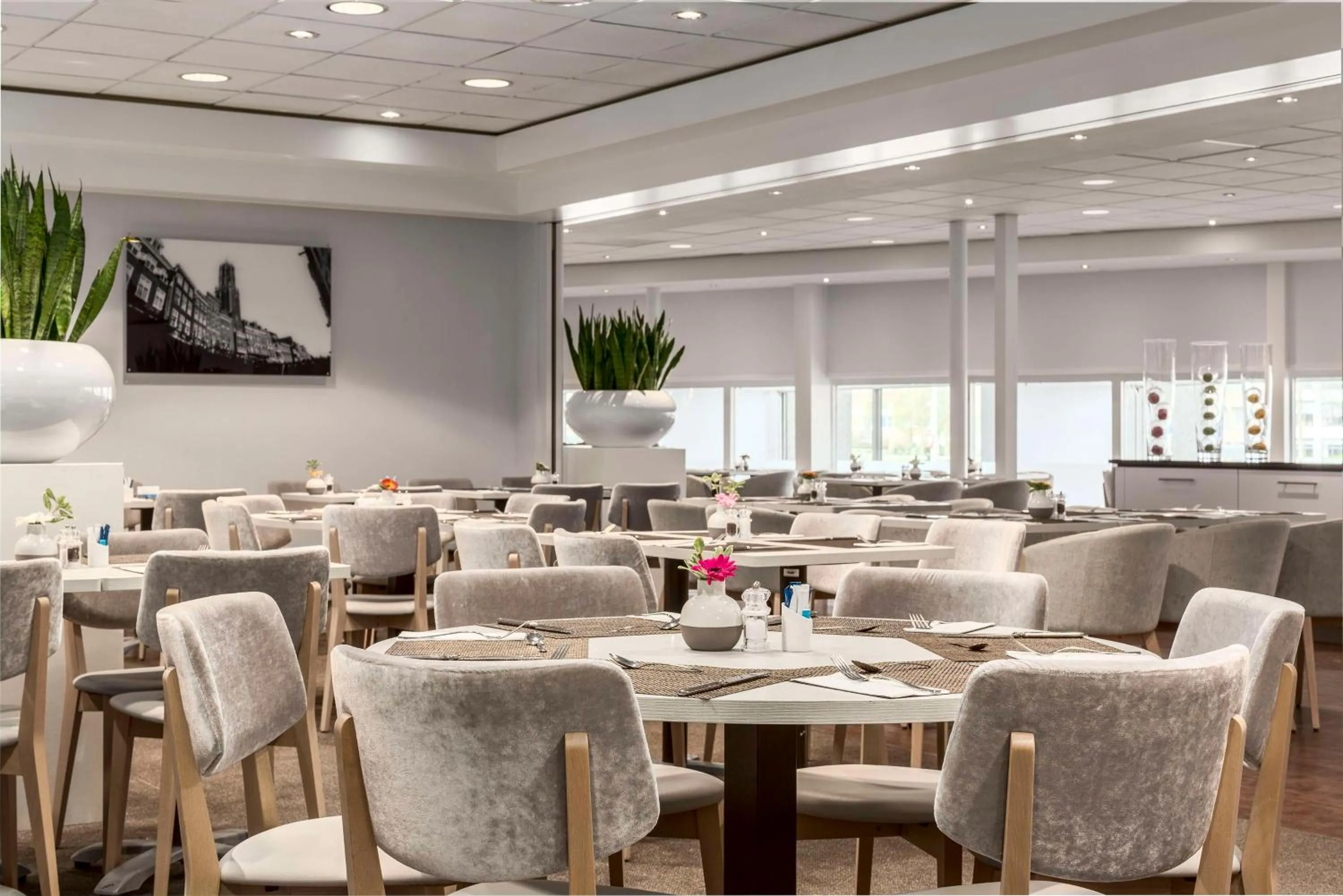 Restaurant/places to eat in NH Utrecht