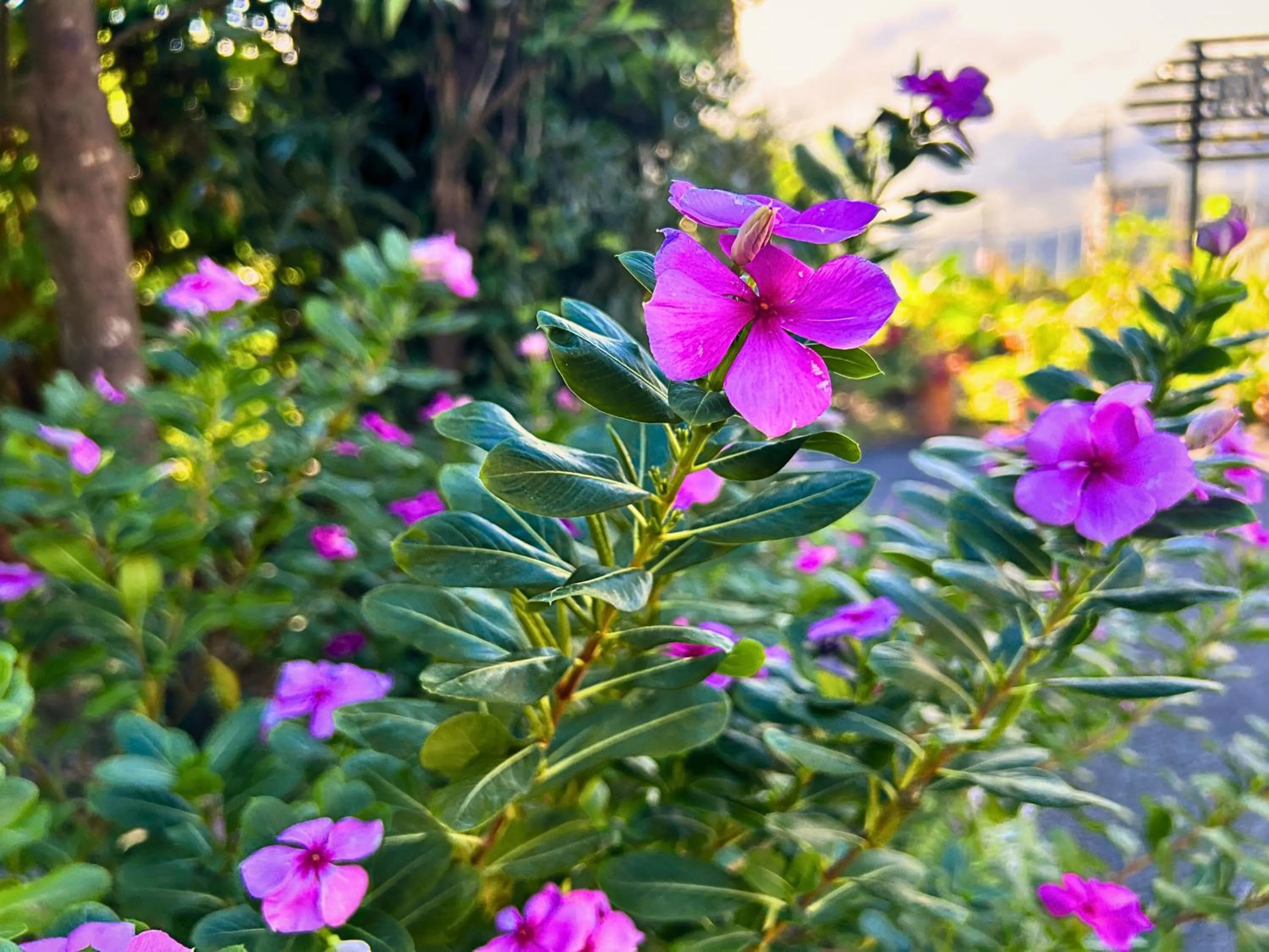 Property building in Wogo Hotel