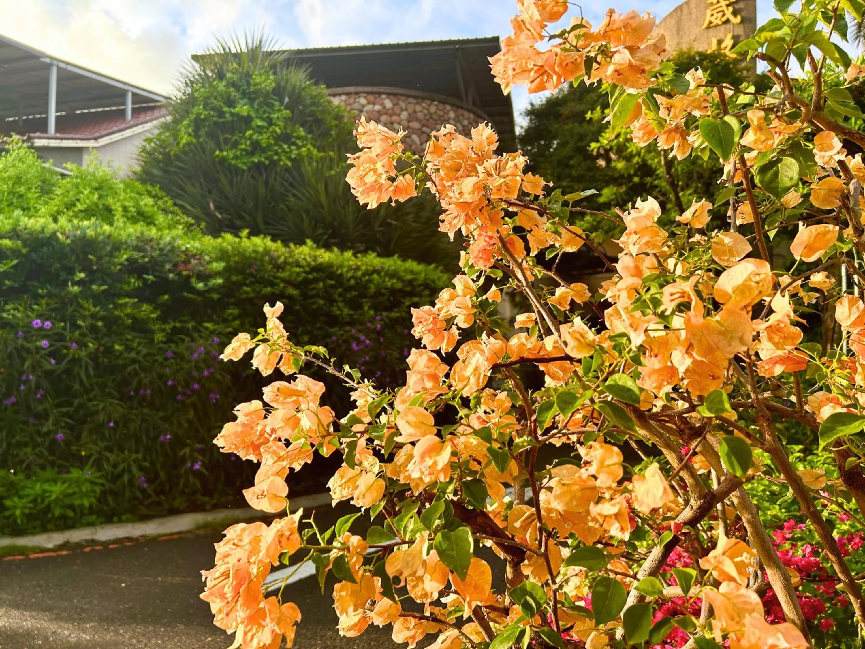 Garden view in Wogo Hotel