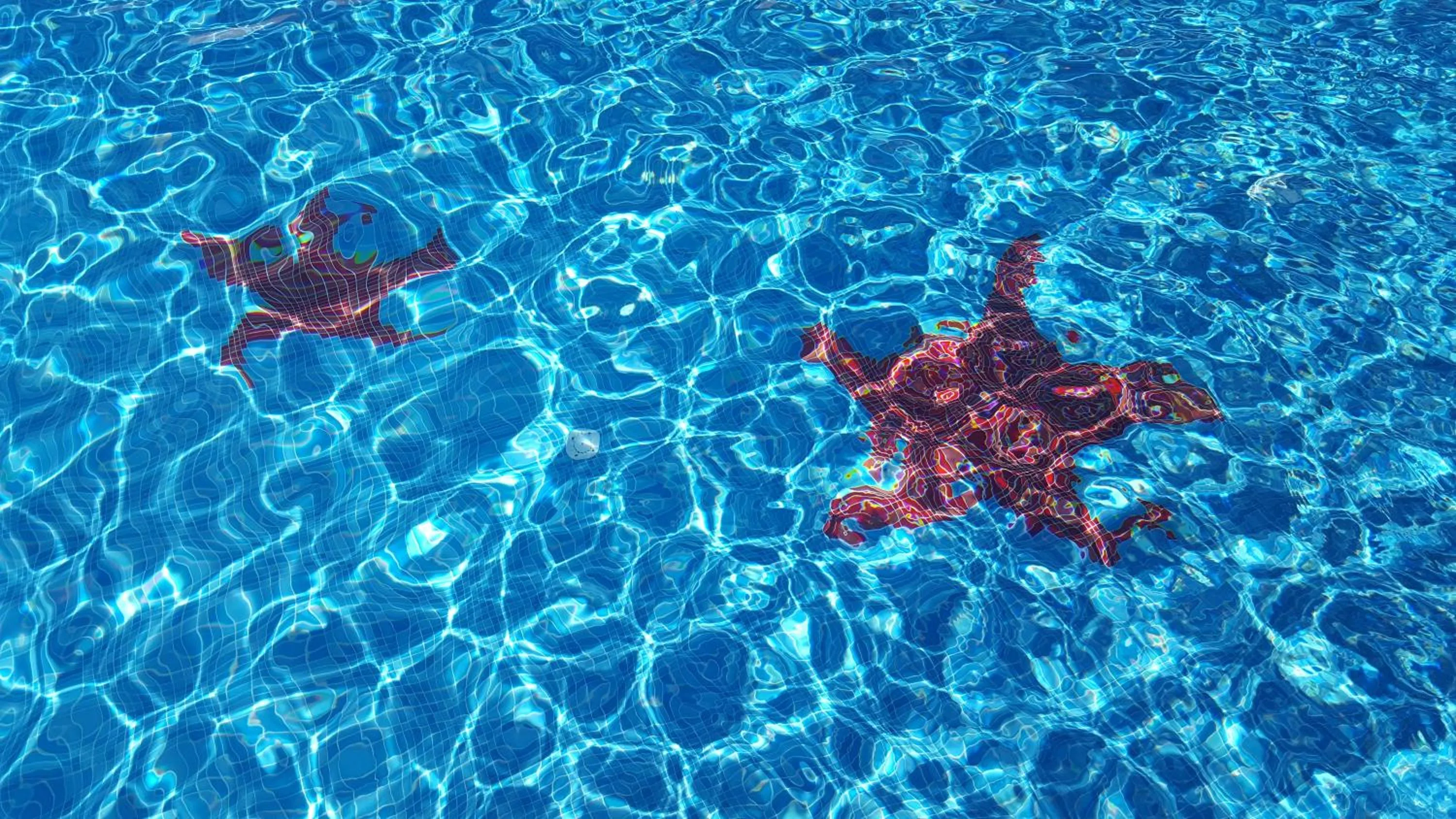 Swimming pool in La Suite del Faro