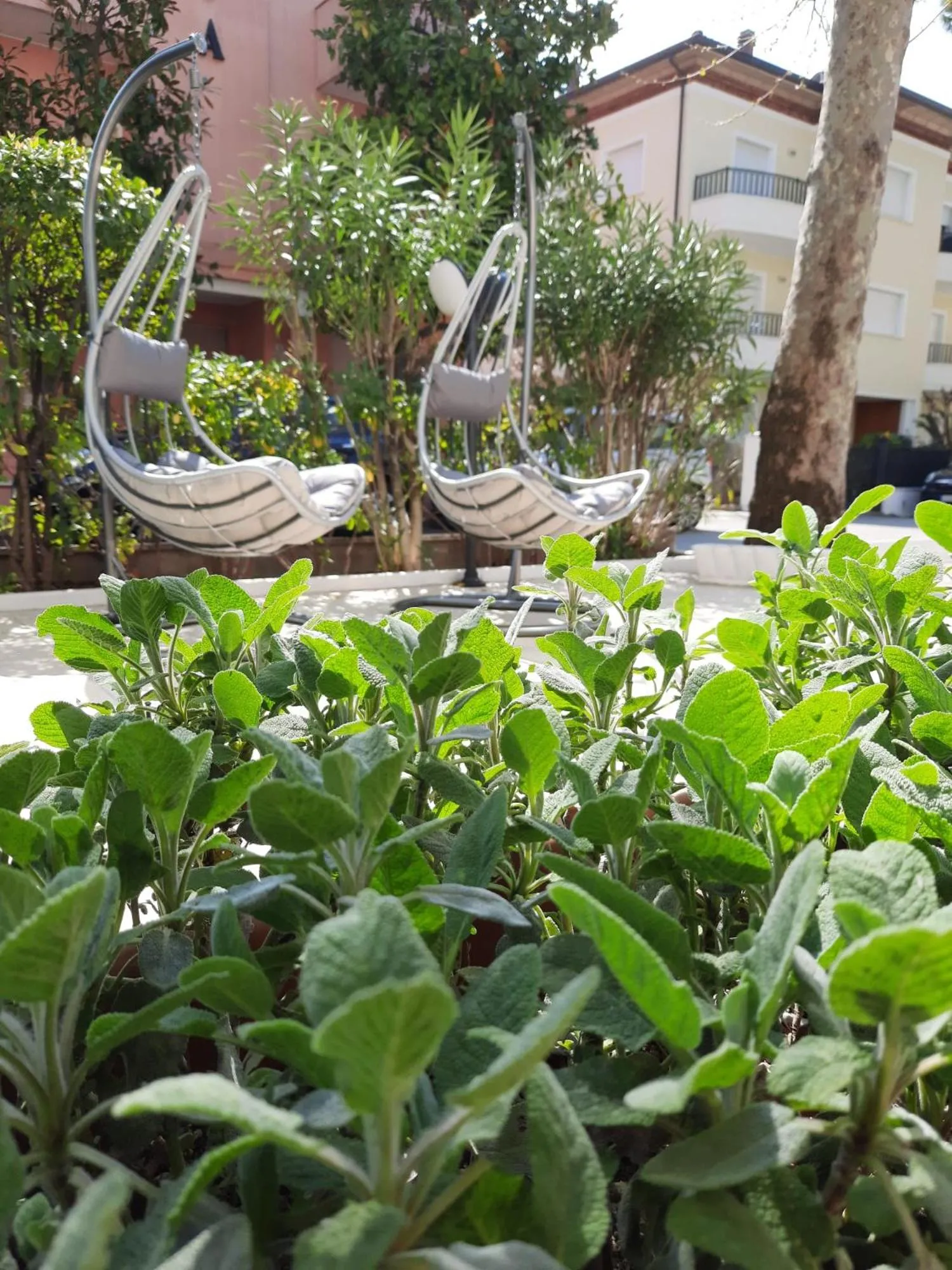 Summer in Hotel Cormoran Riccione