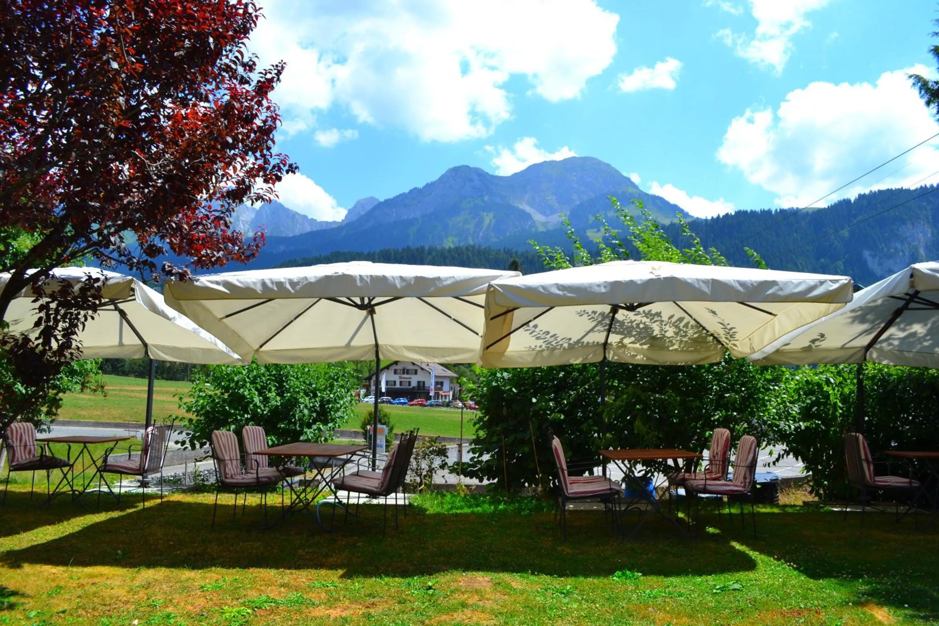 Garden in Chalet Rosaly
