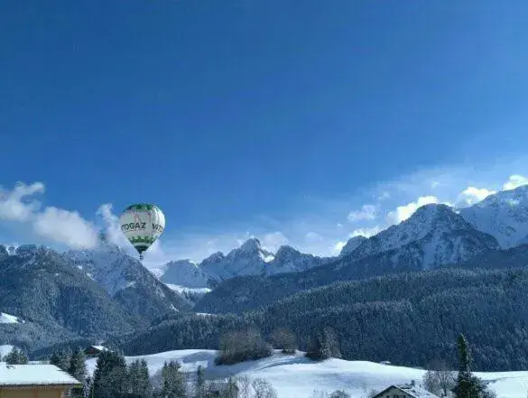 Double or Twin Room with Balcony and Shared Bathroom in Chalet Rosaly Double or Twin Room with Balcony and Shared Bathroom in Chalet Rosaly