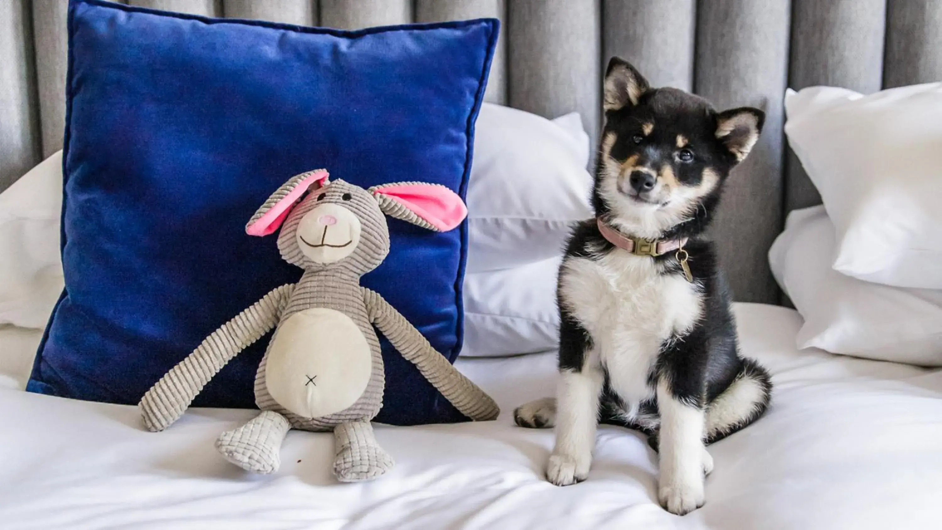 Lobby or reception in Kimpton De Witt Amsterdam by IHG Lobby or reception in Kimpton De Witt Amsterdam by IHG