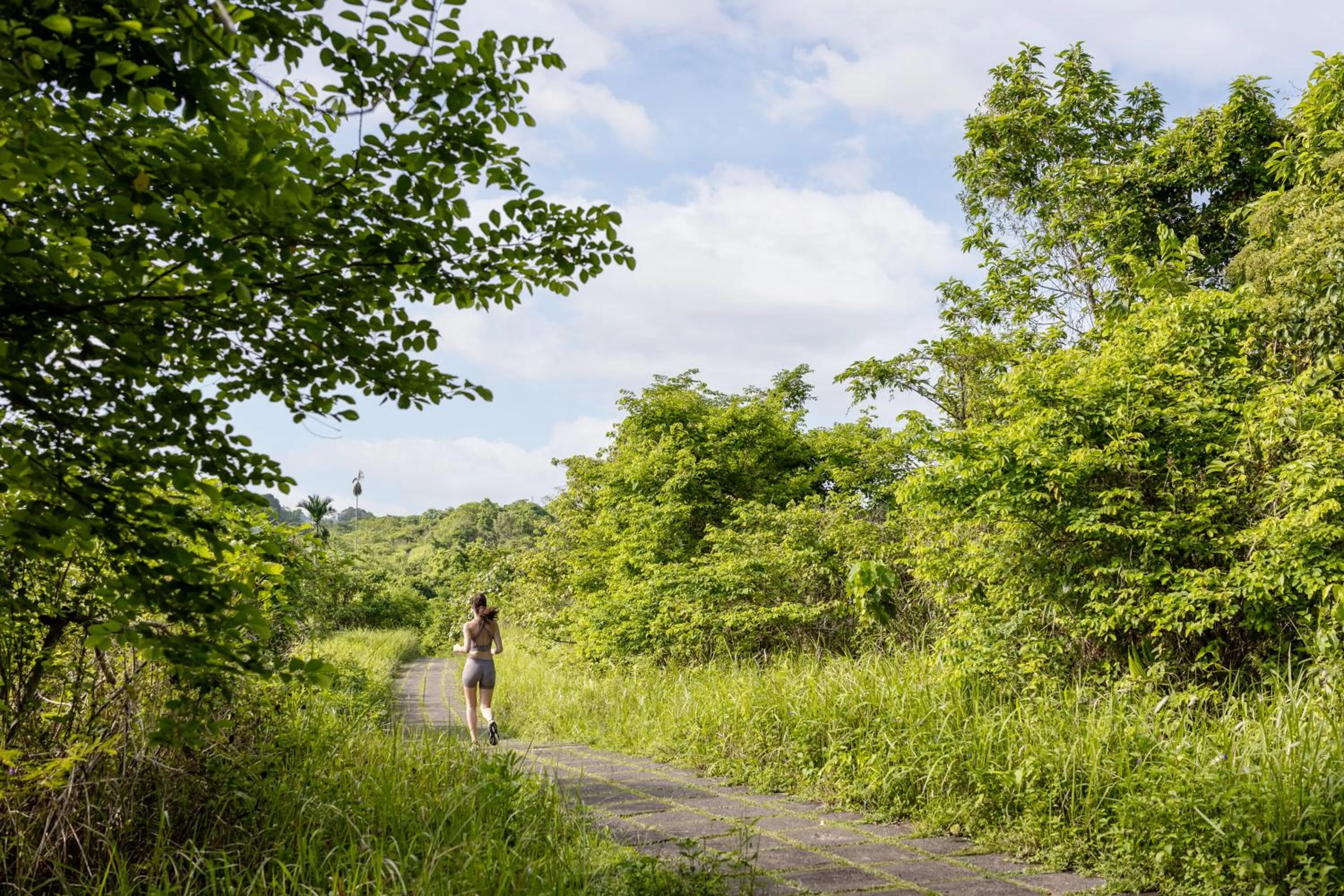 Natural landscape in The Hava Ubud A Pramana Experience