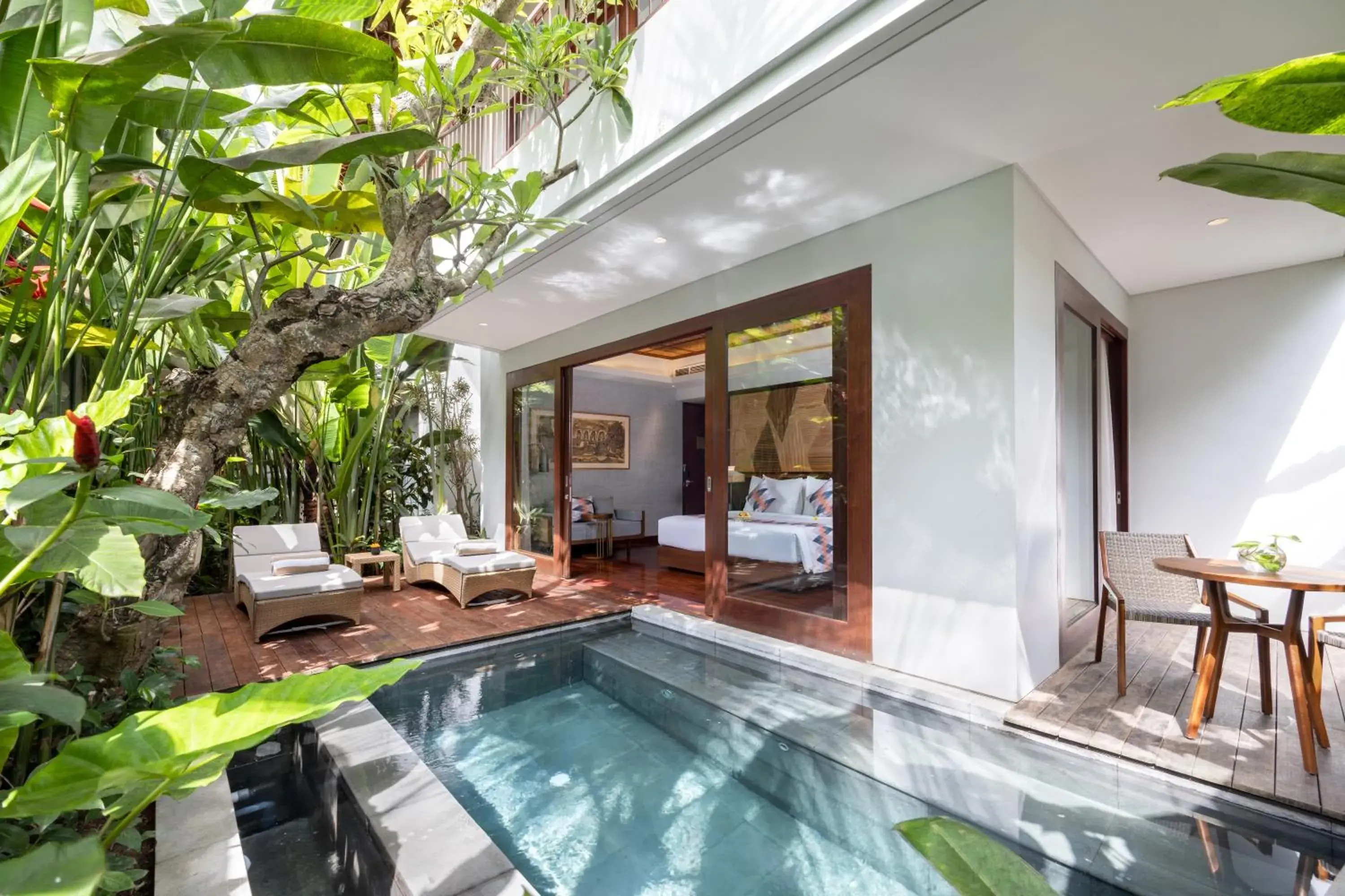 Pool view in The Hava Ubud A Pramana Experience Pool view in The Hava Ubud A Pramana Experience