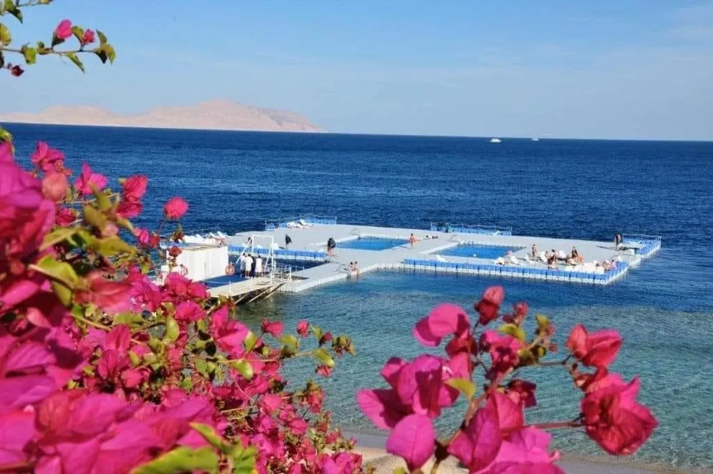 Elisir SPA & Hotel at Sheikh coast