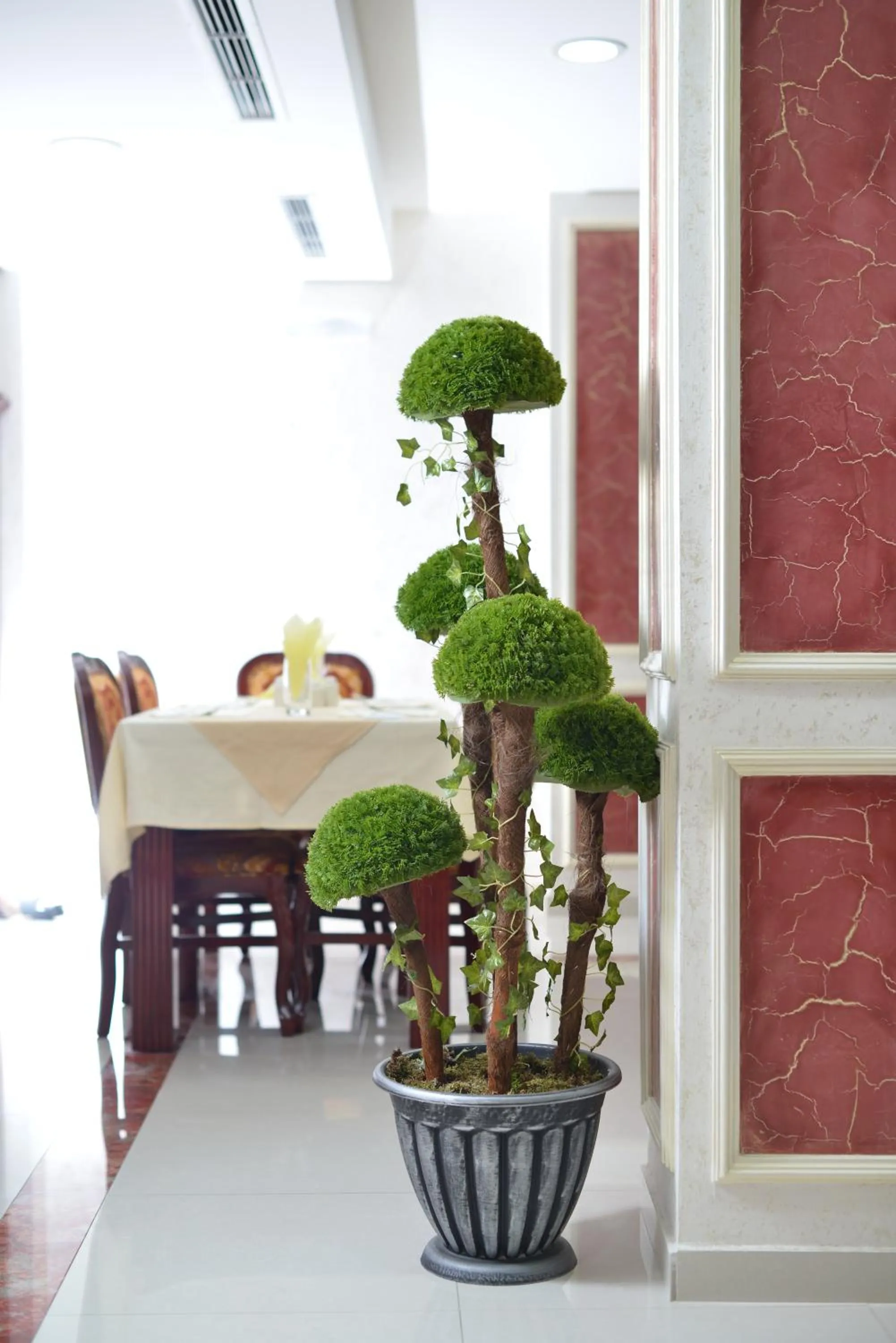 Restaurant/places to eat in Hotel Gold