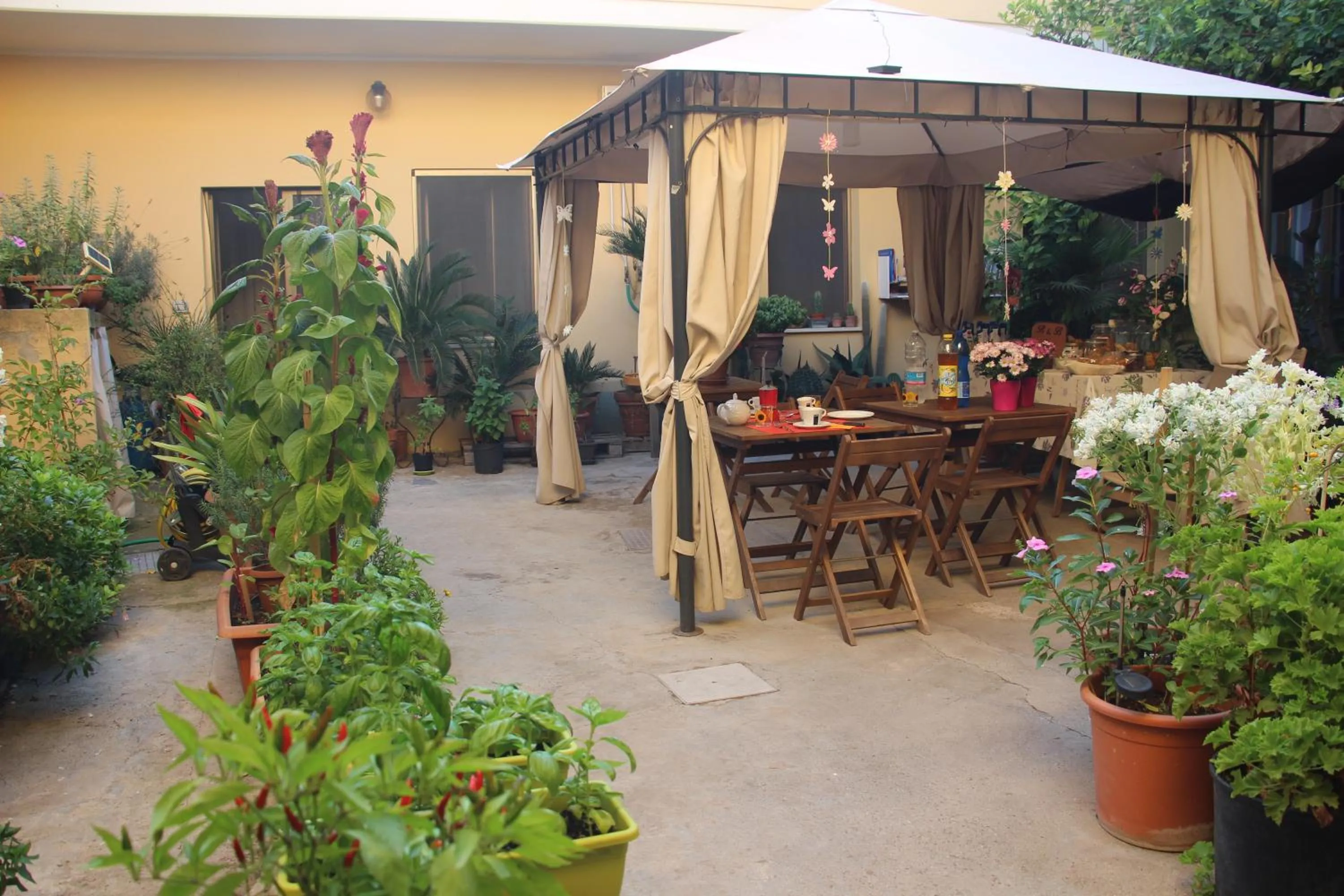 Fiori e Limoni