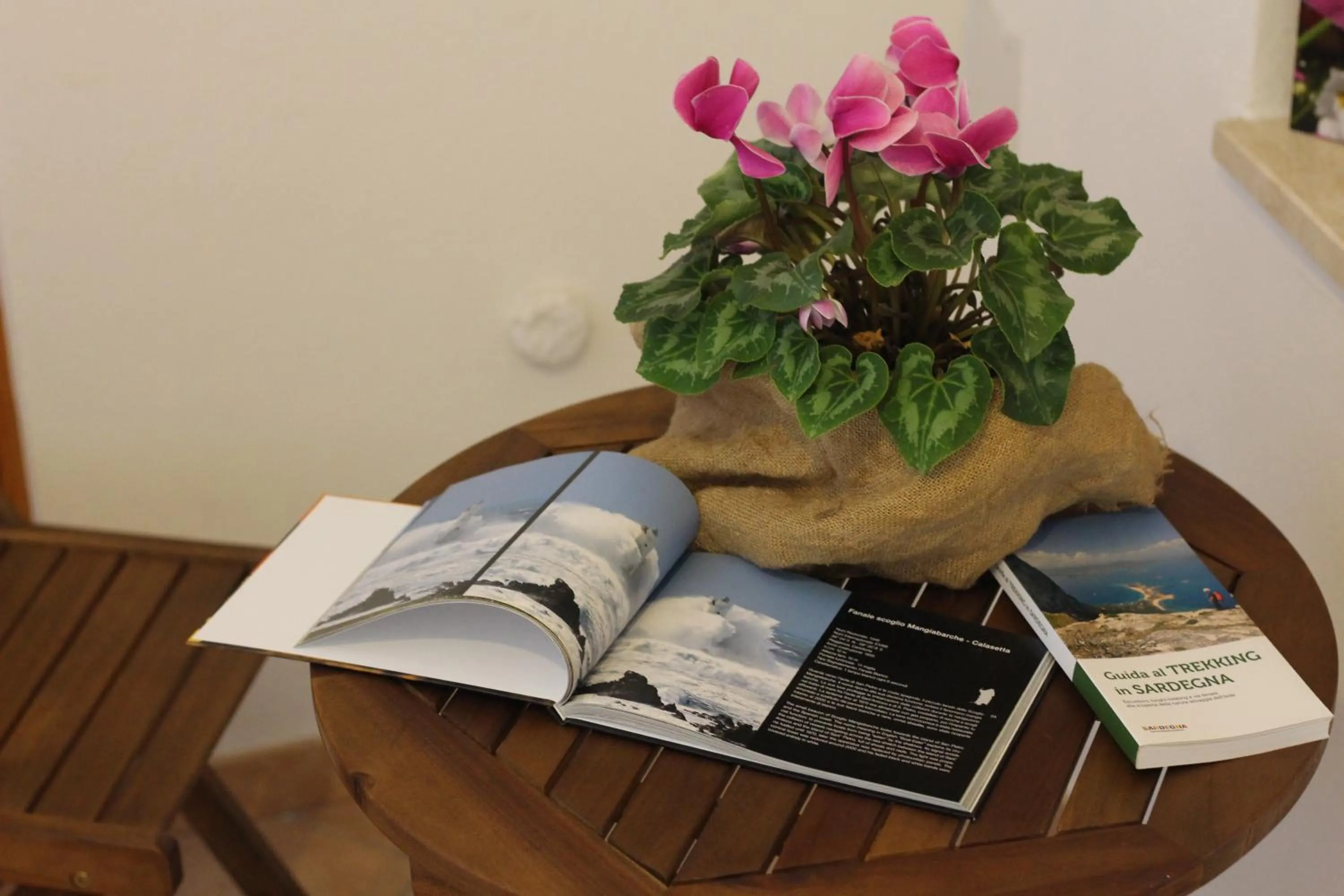 Fiori e Limoni