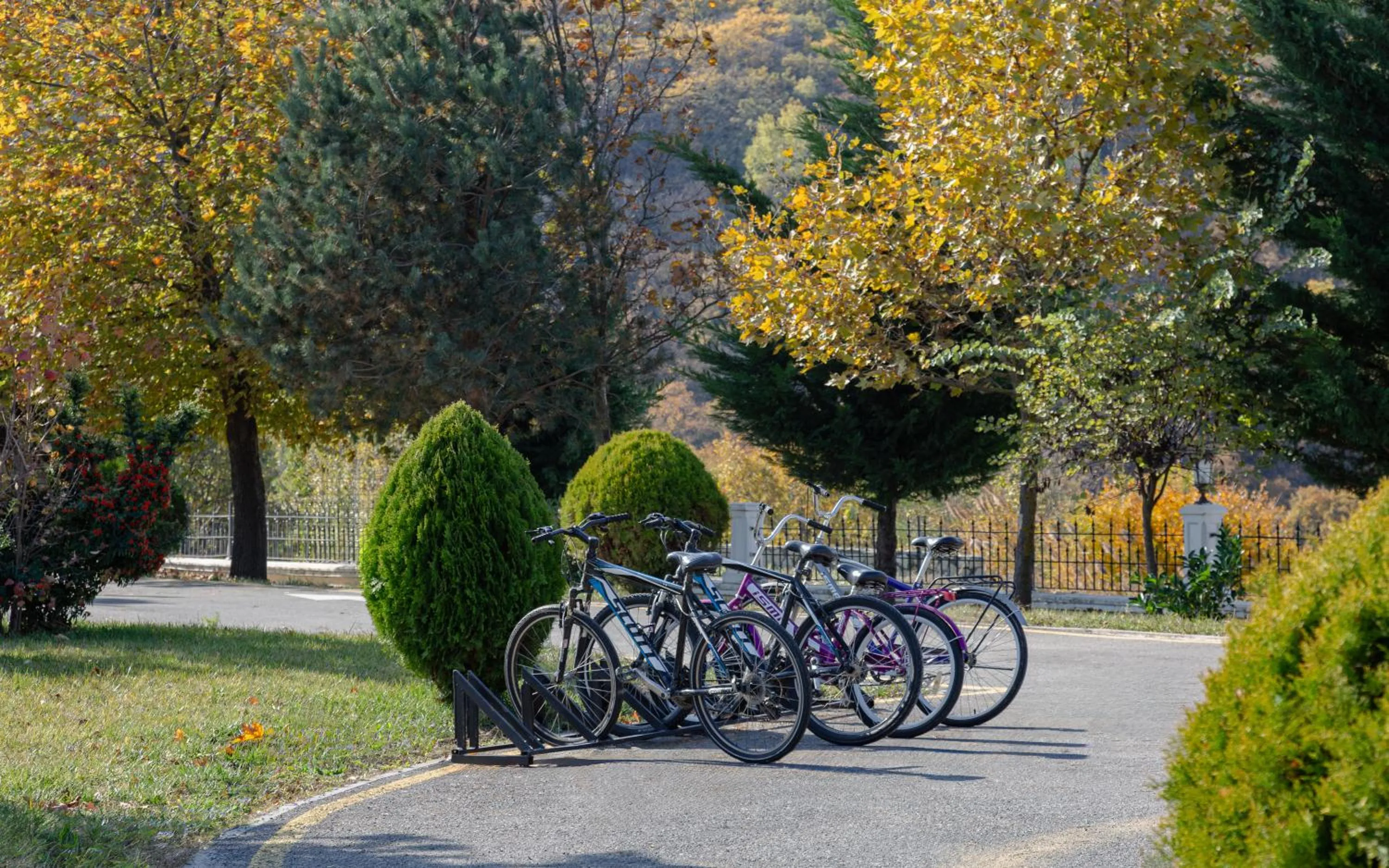 Sports in Shamakhi Palace Sharadil