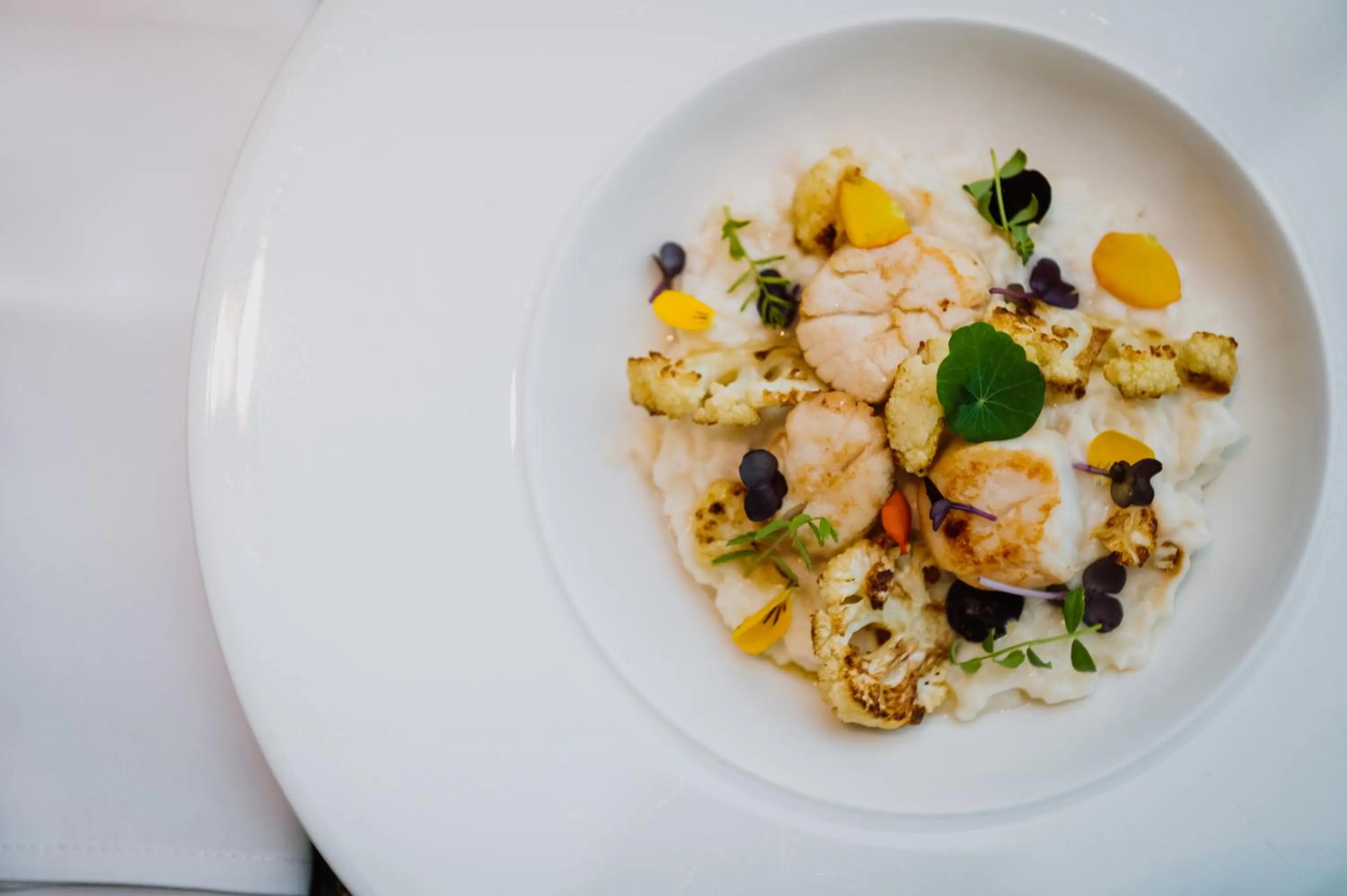 Food and drinks in Villa Csonka by Privo