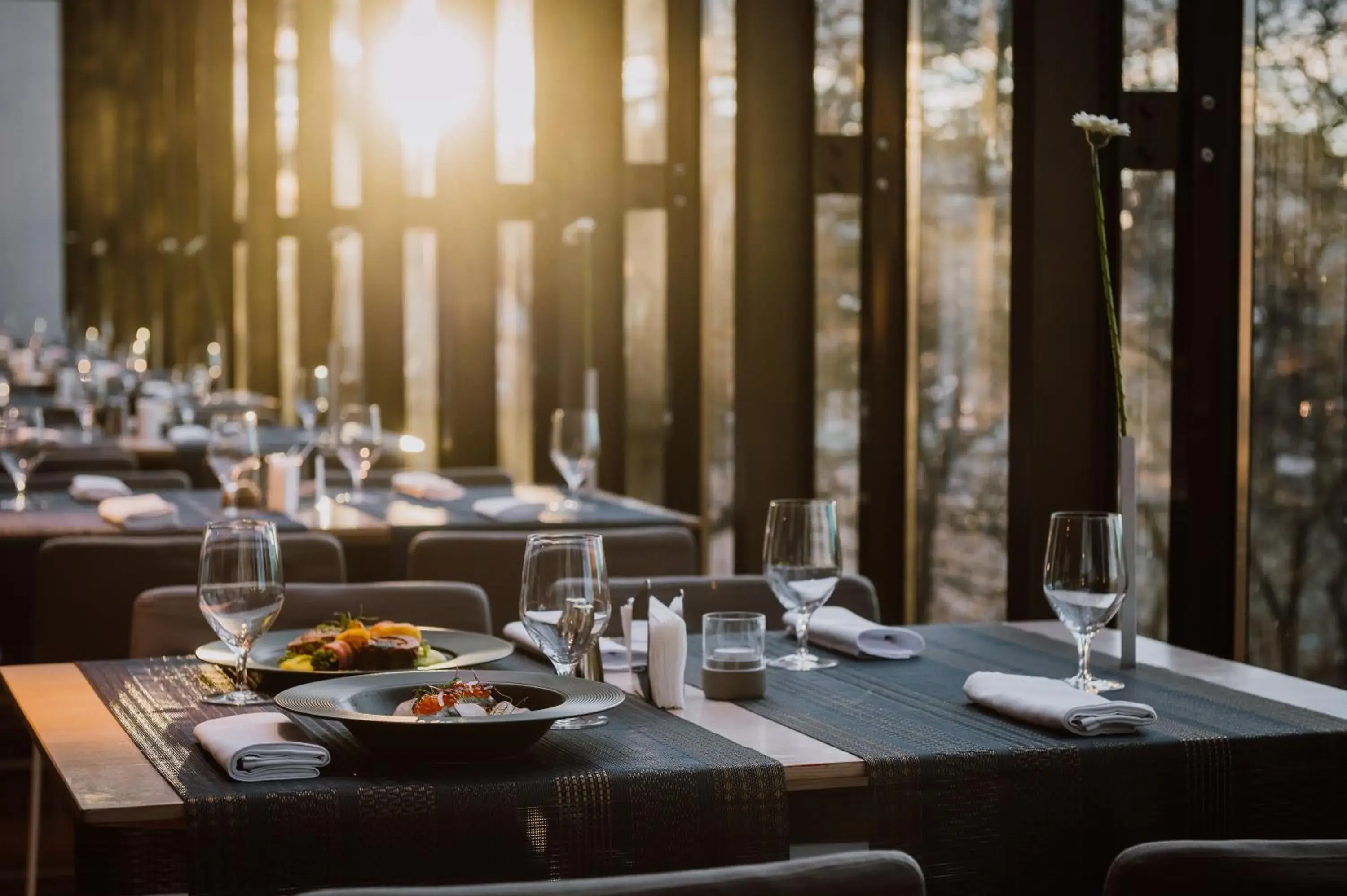 Restaurant/places to eat in Villa Csonka by Privo Restaurant/places to eat in Villa Csonka by Privo