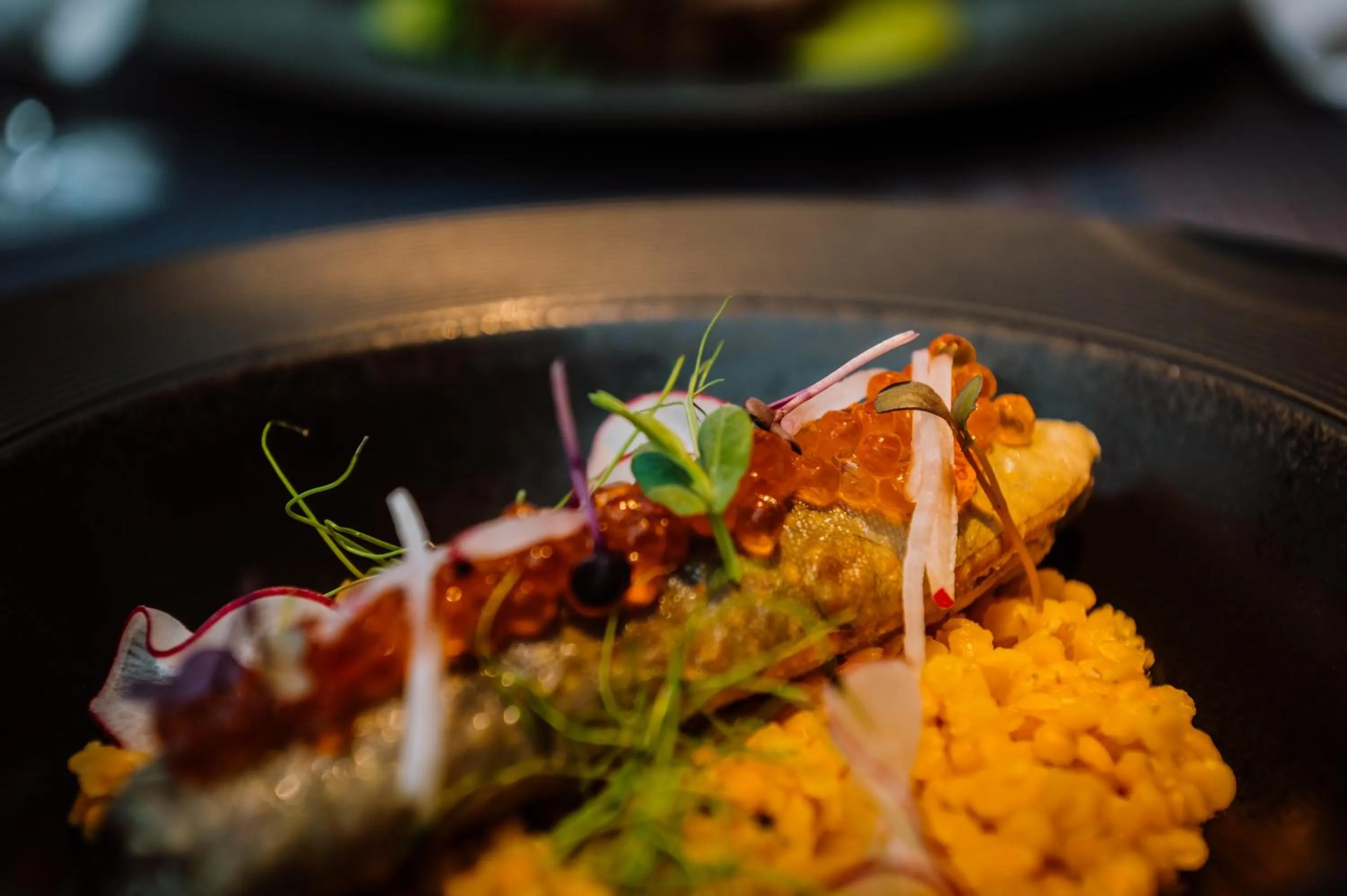 Food in Villa Csonka by Privo