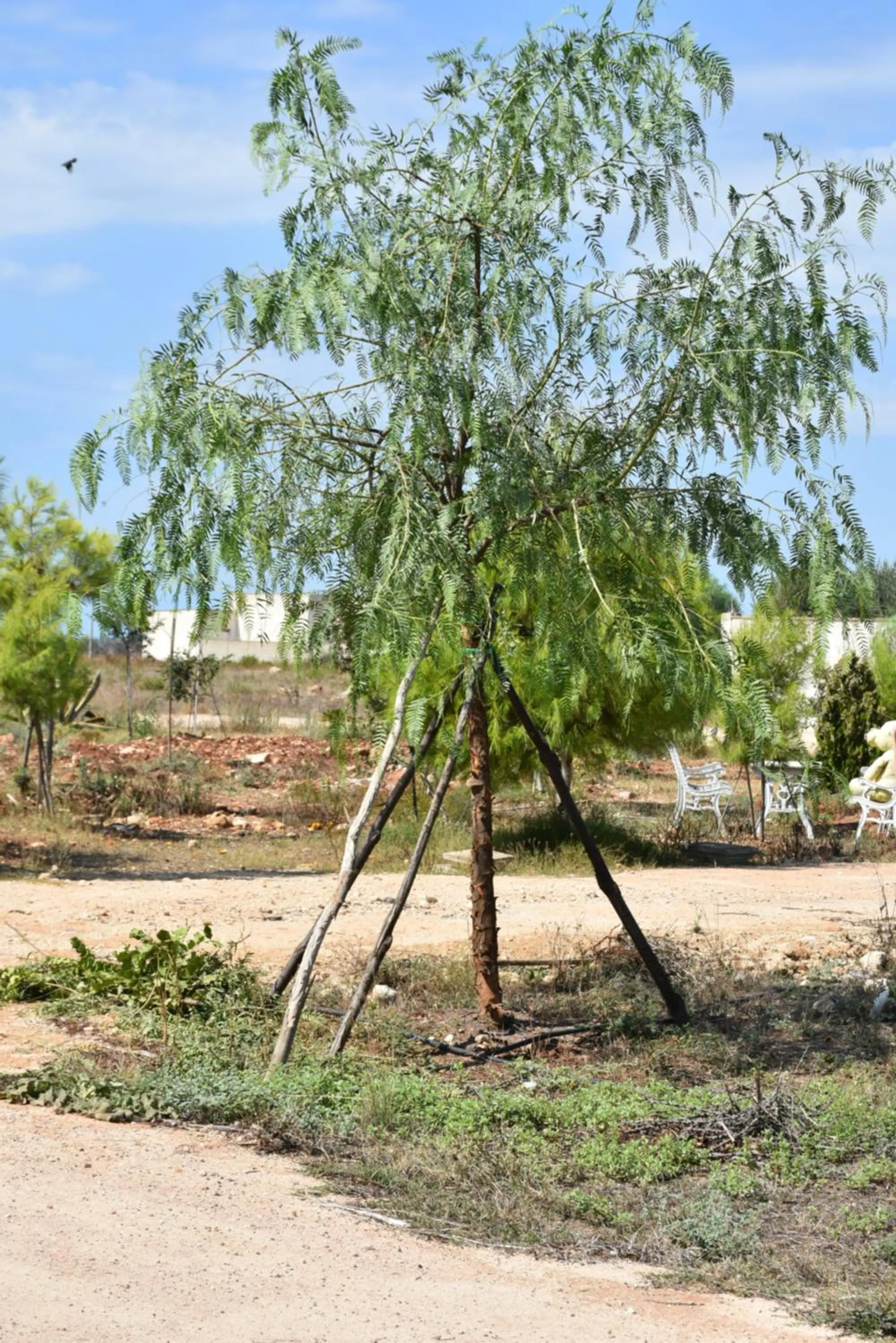 Hotel Villa del Sole