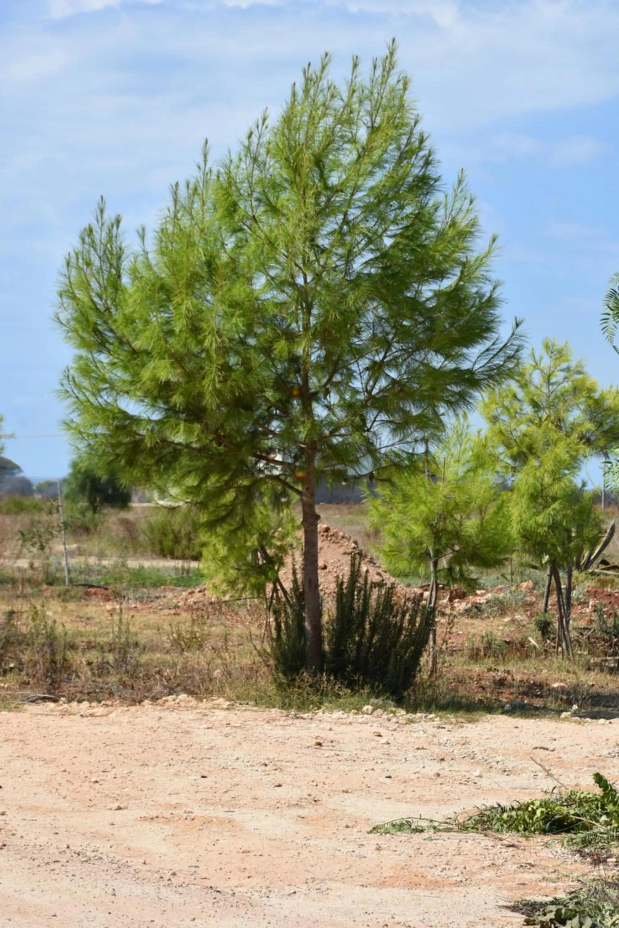 Hotel Villa del Sole