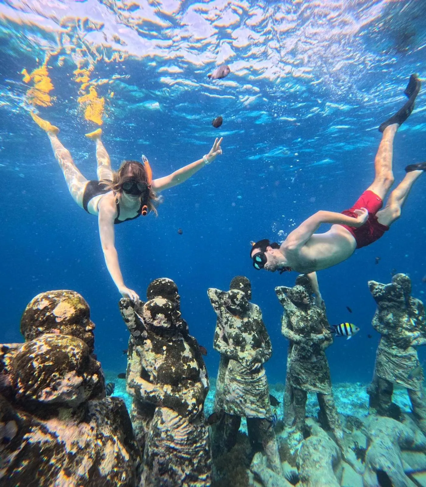 Coral Choice