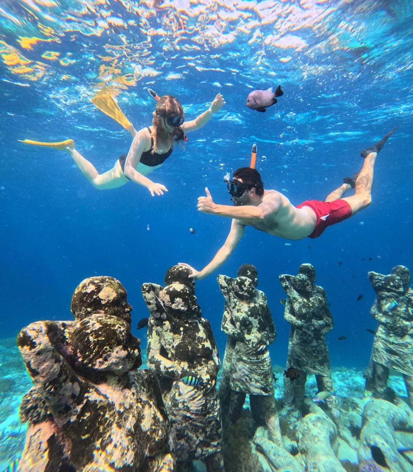 Coral Choice