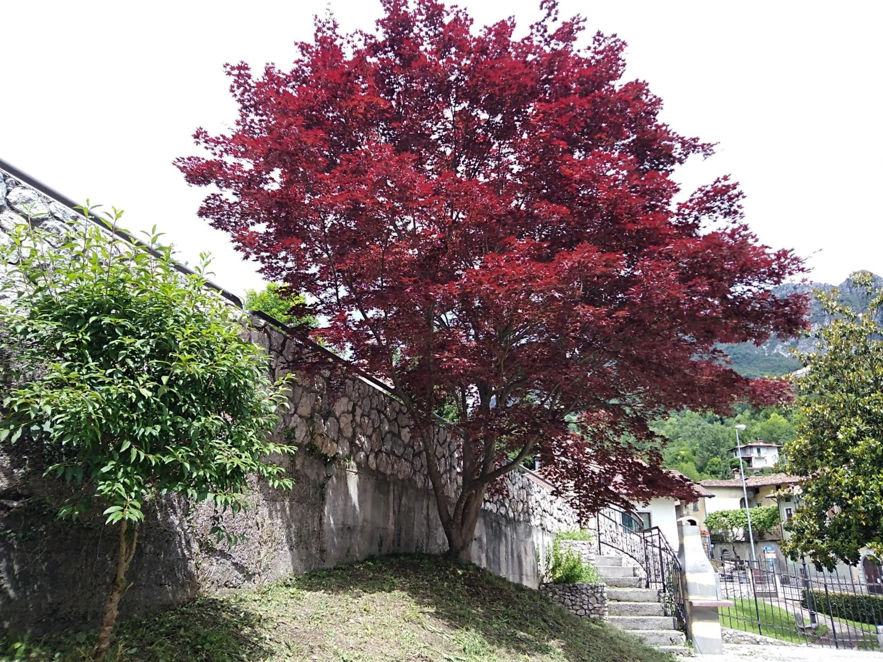 B&B L'Acero